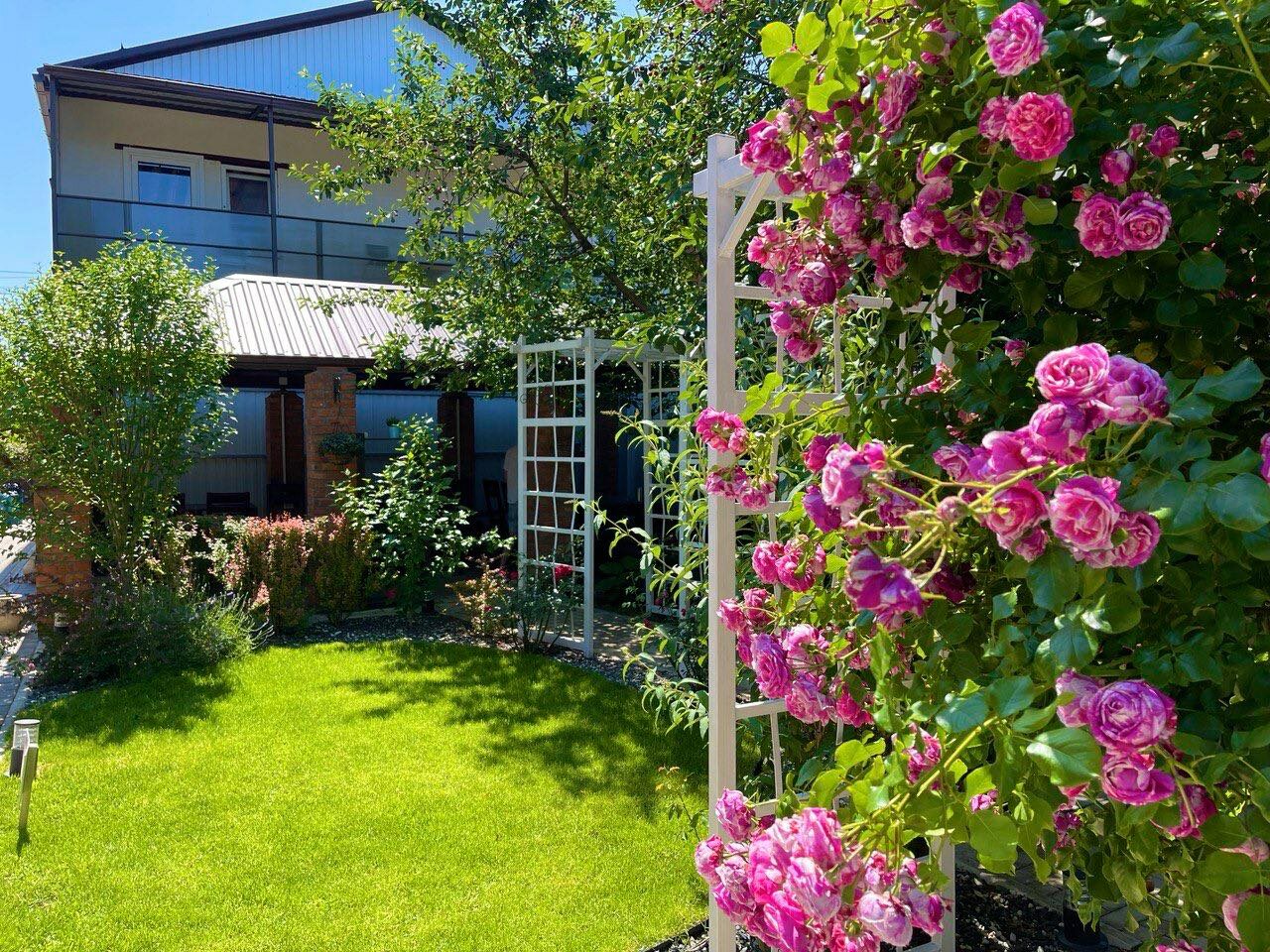 Фото Совёнок