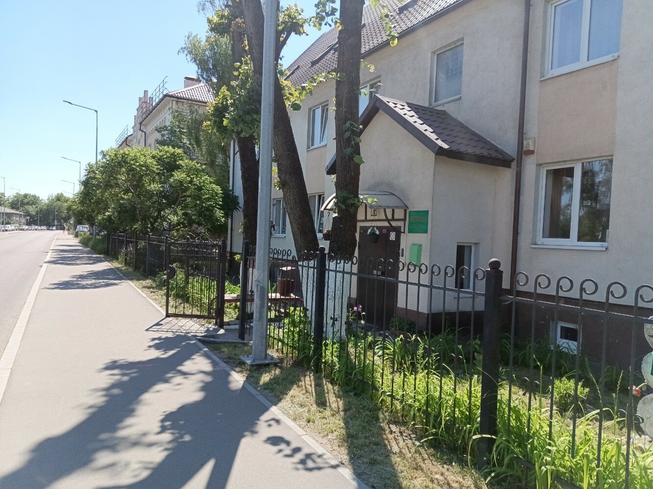 Фото Янтарь