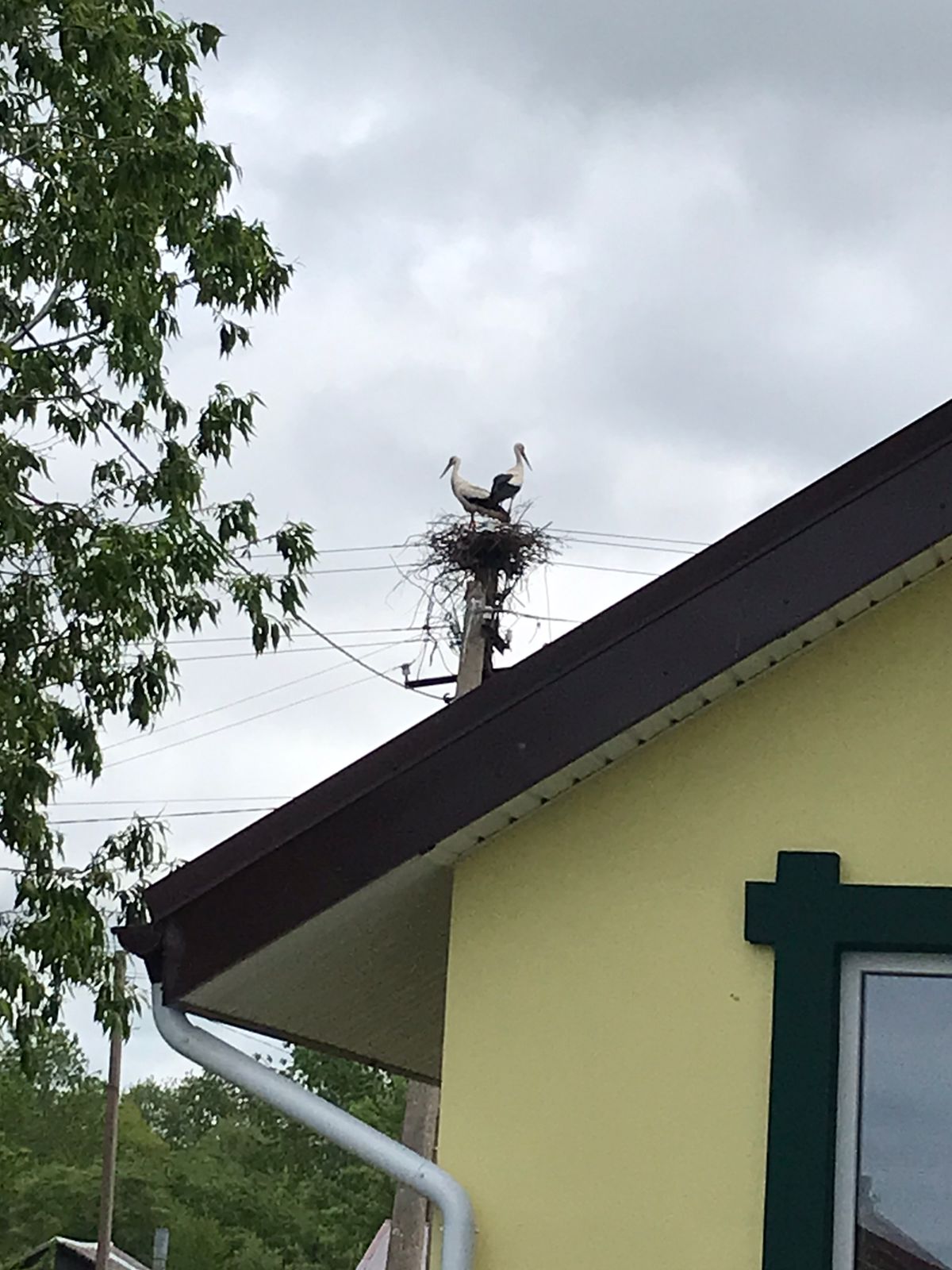 Фото Гостевой дом Спицино