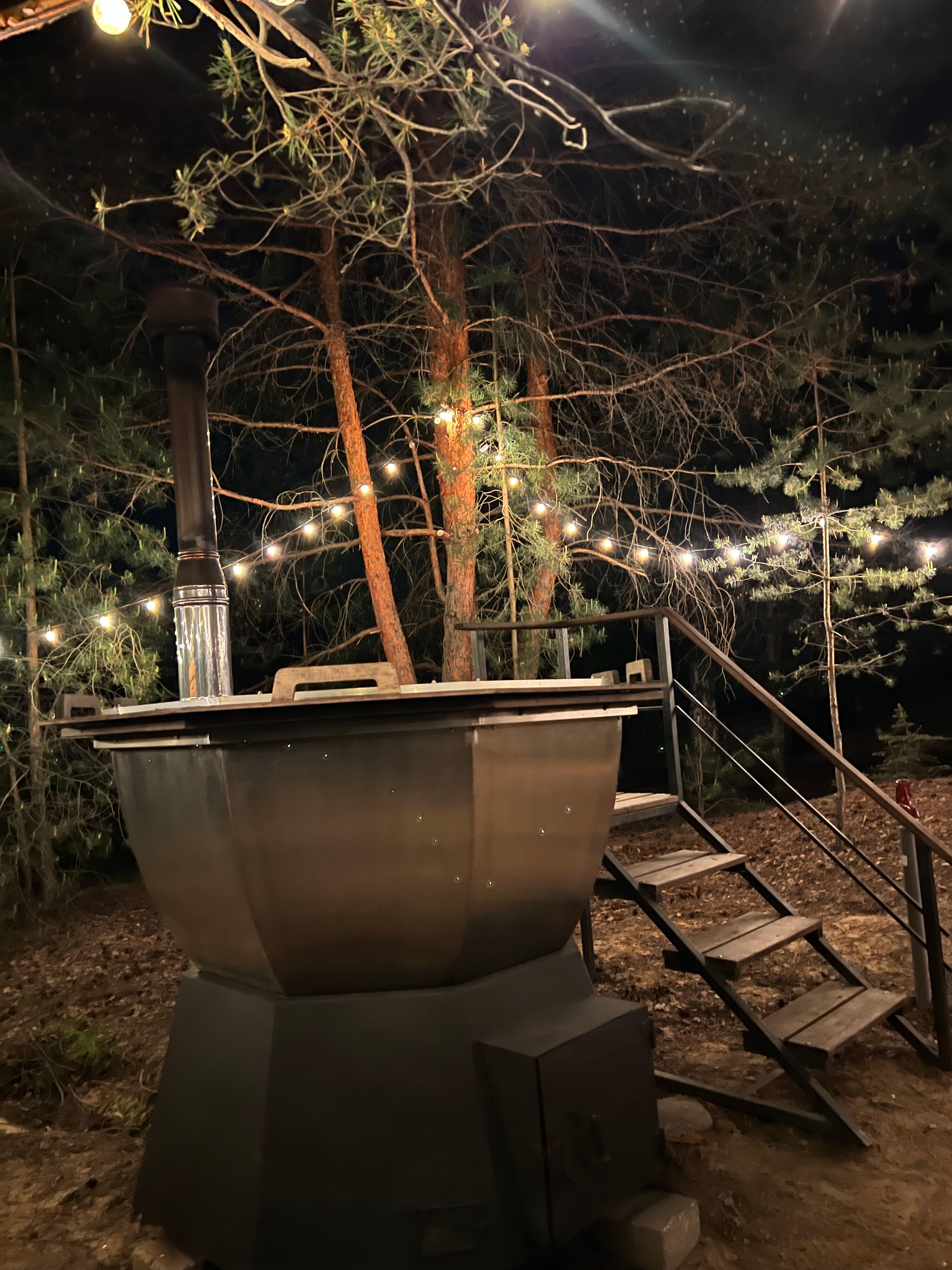 Фото Место под соснами