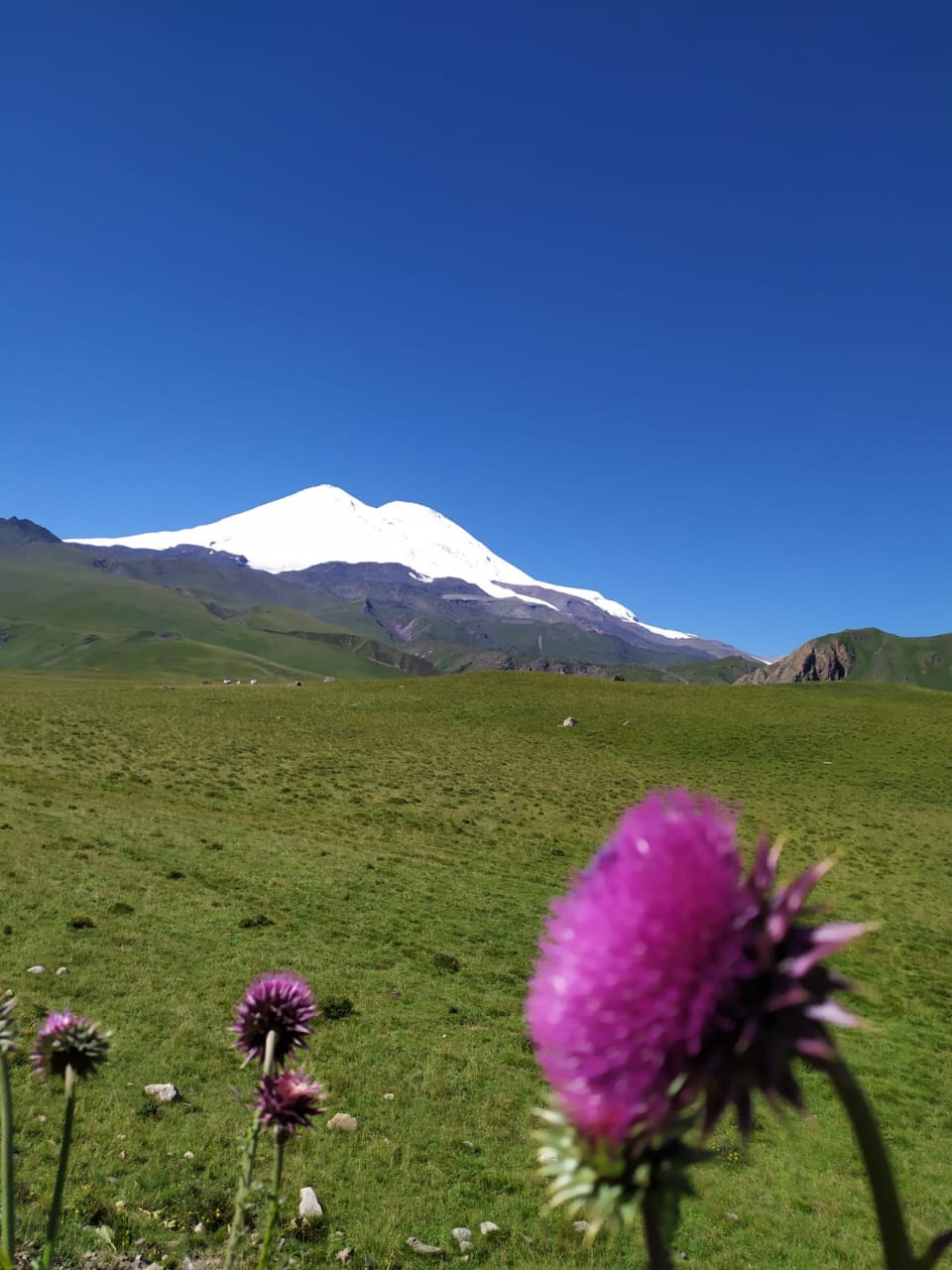 Фото Гостевой дом Крупской 1