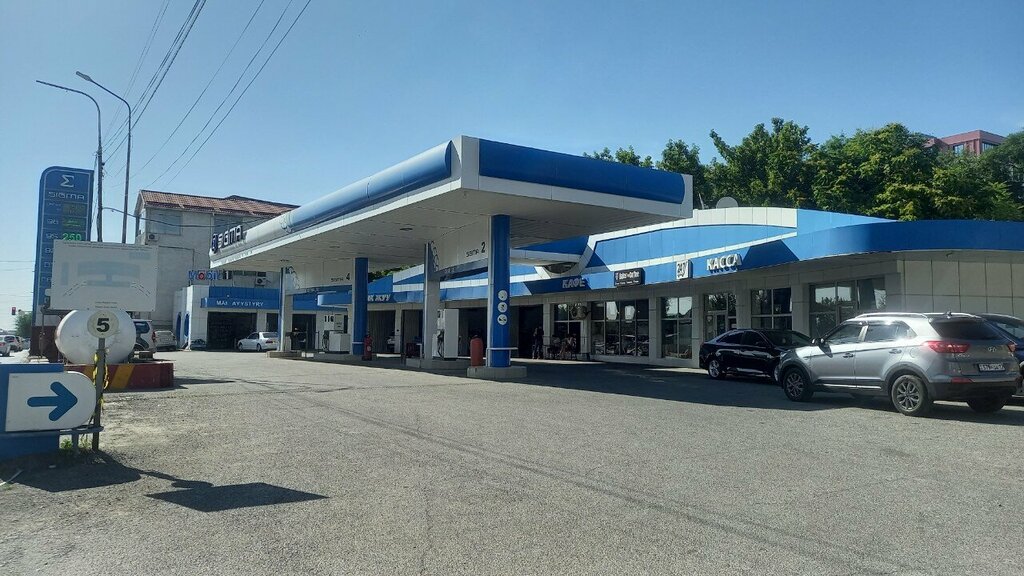 Payment terminal Qiwi, Chimkent, photo