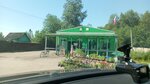 SNT Pakhma (Yaroslavskiy munitsipalny okrug, SNT Pakhma), public transport stop
