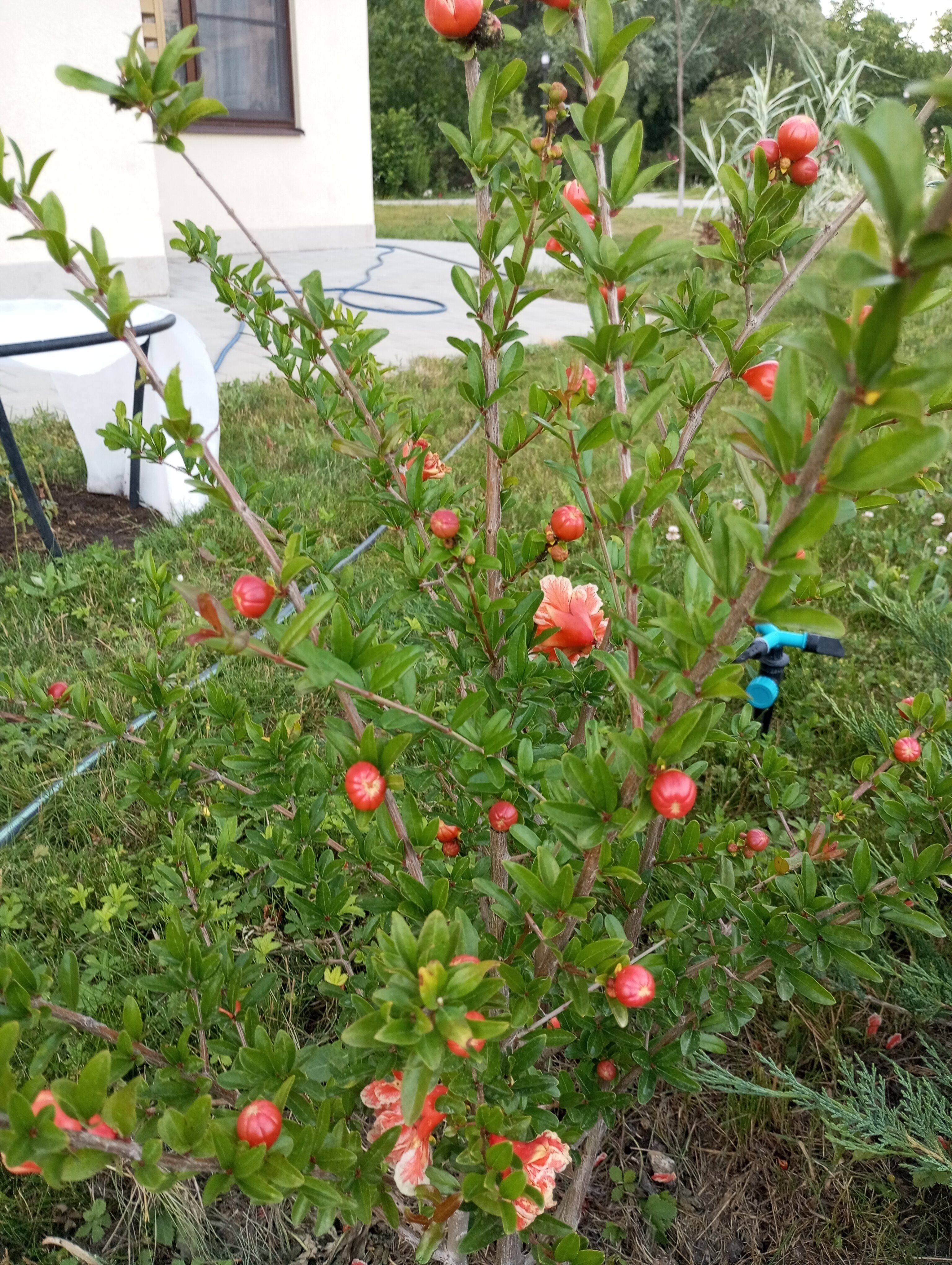 Фото Holiday House