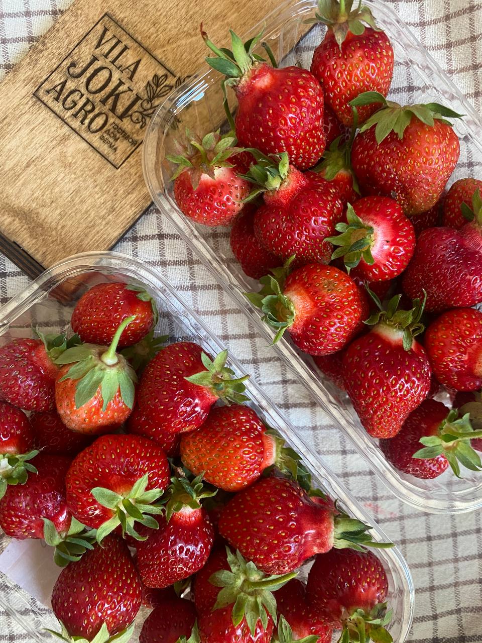 Фото Вилайоки АГРО