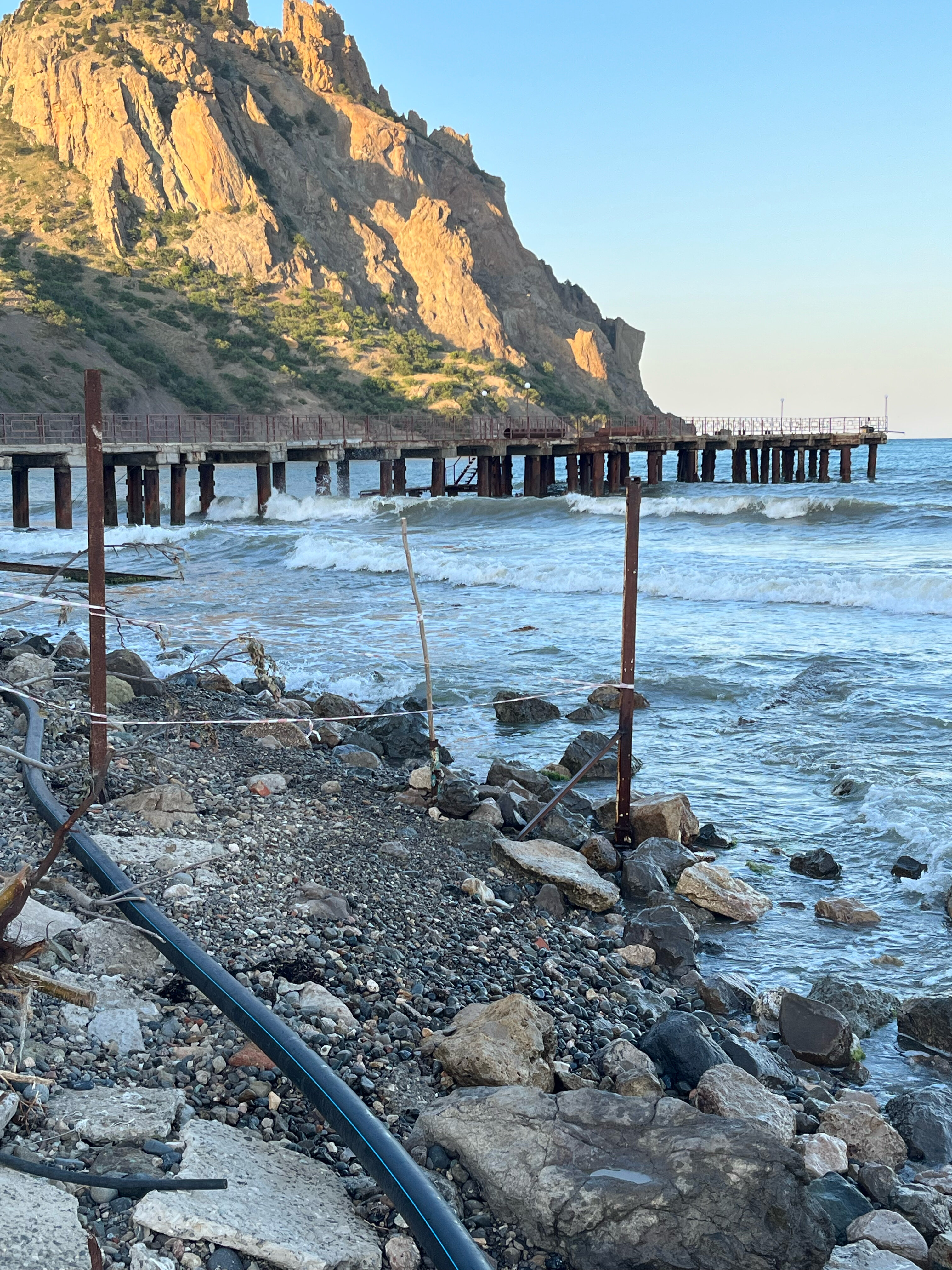 Фото Авокадо