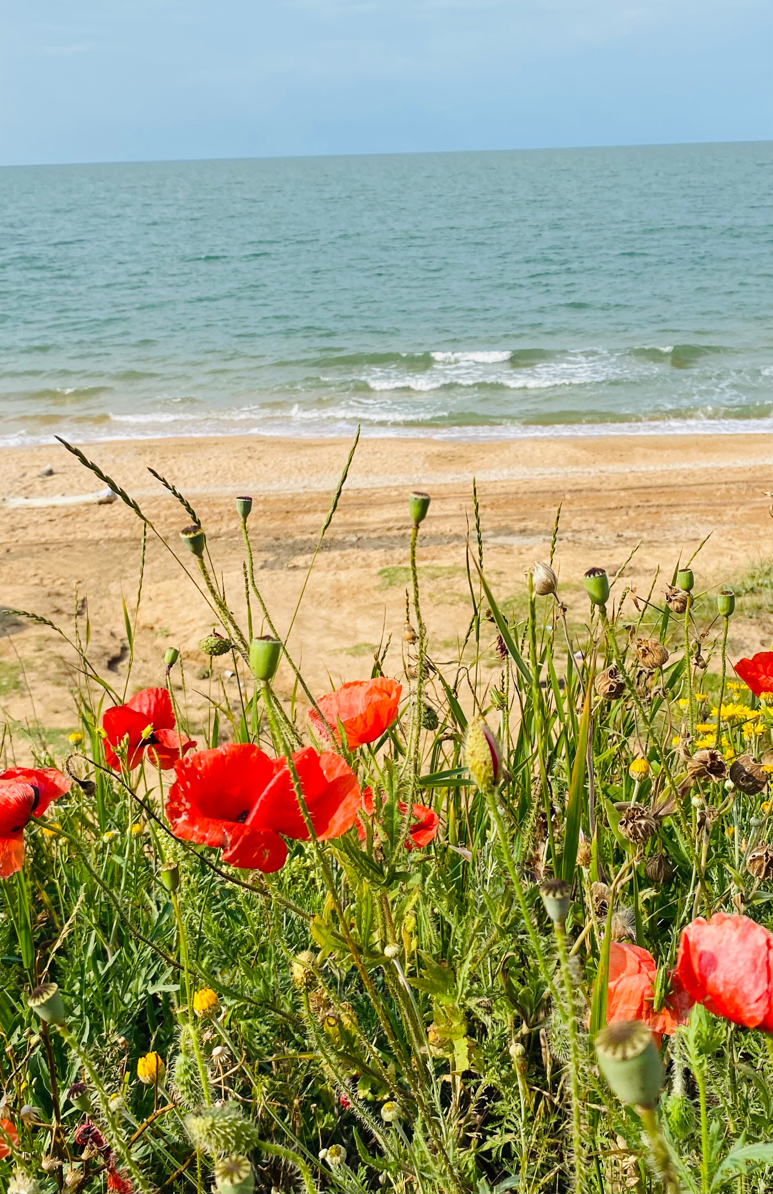 Фото Azov_lounge