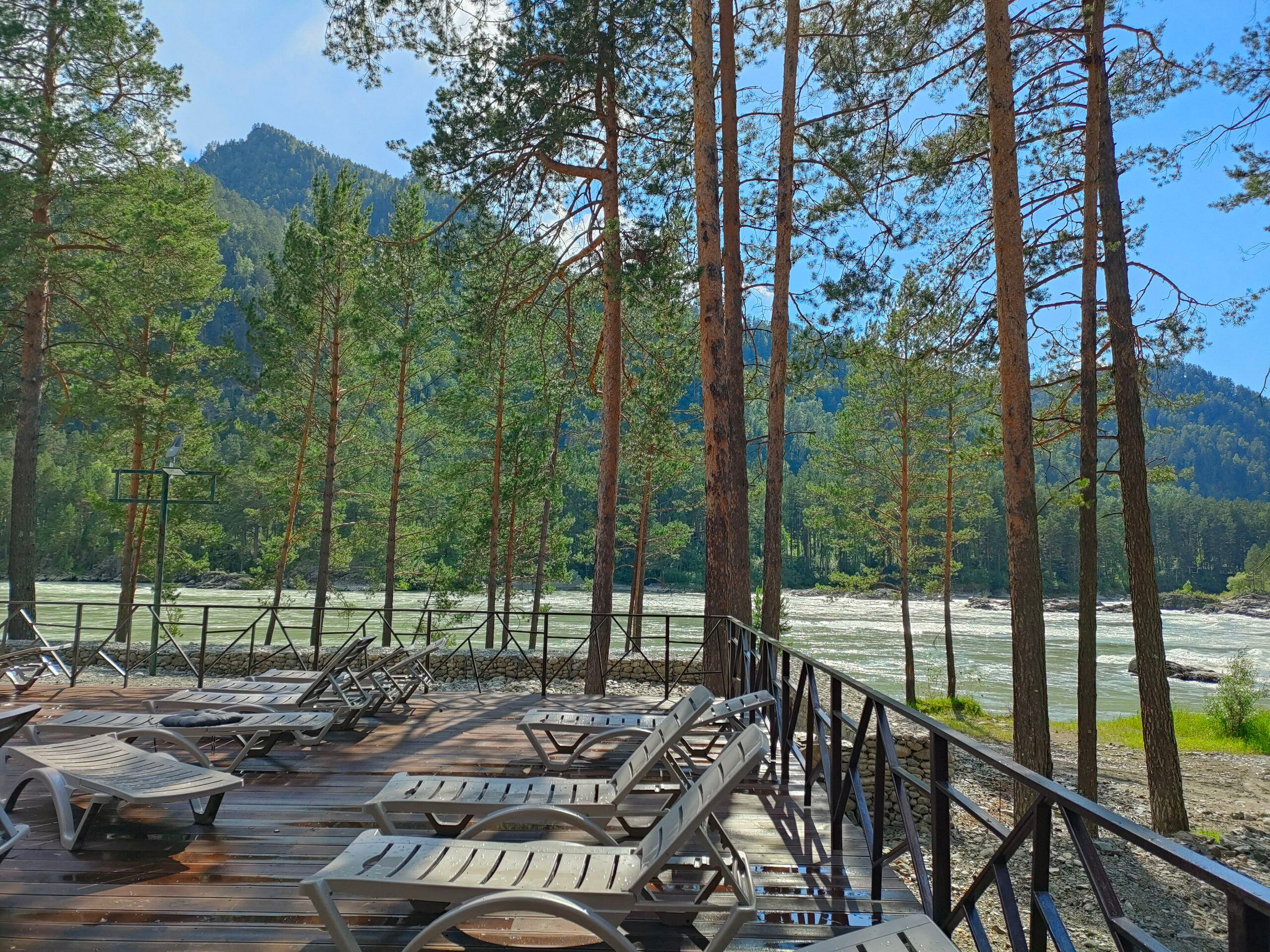 Фото Кедровый остров