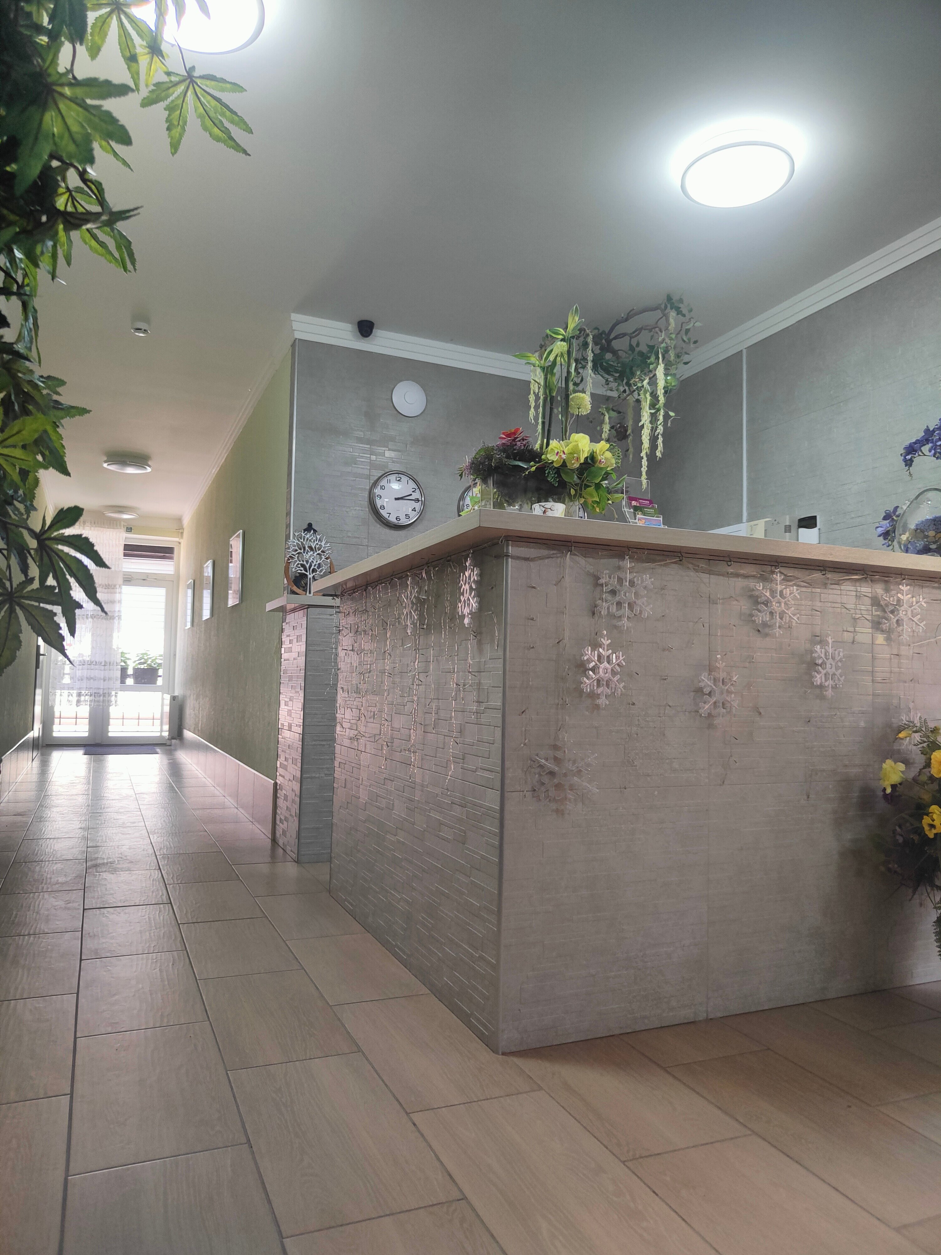 Фото Орхидея