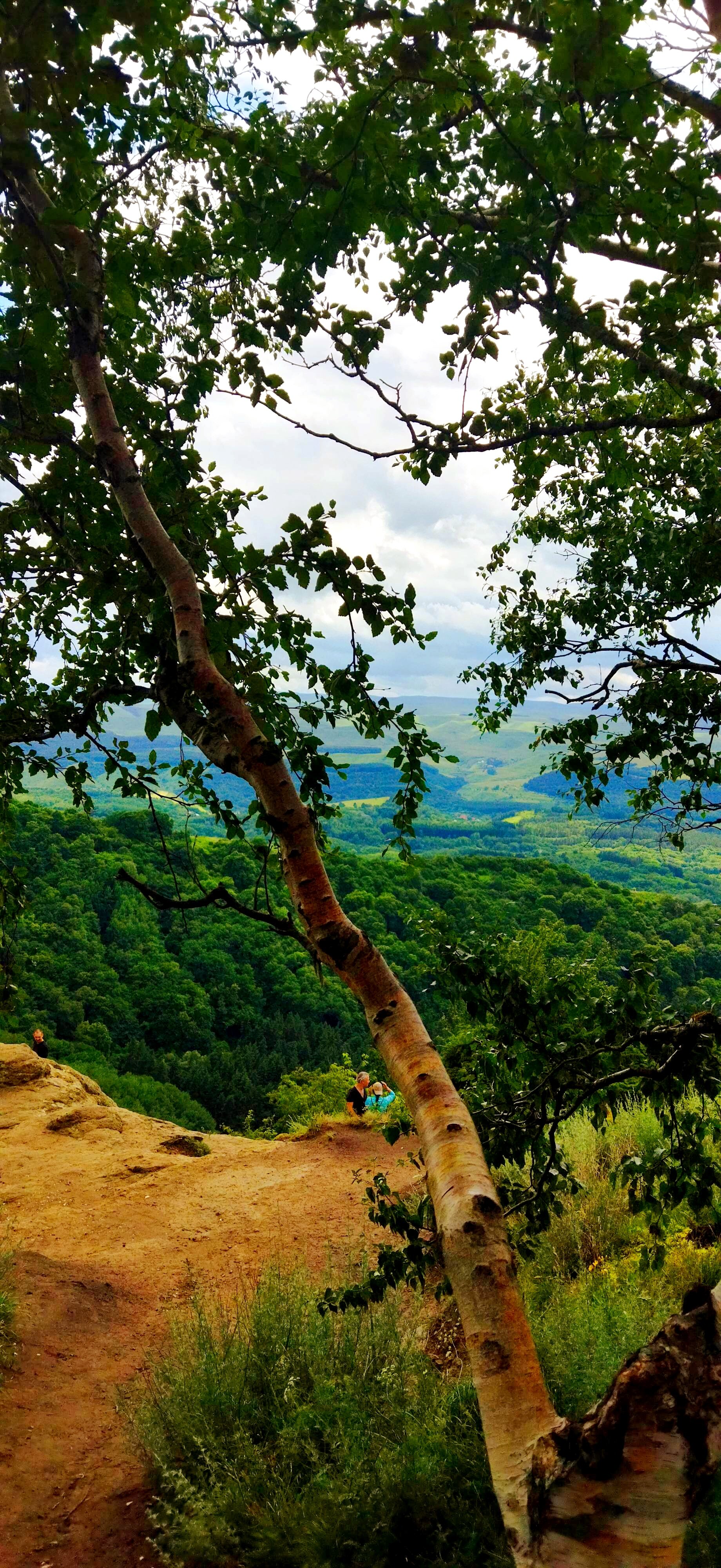 Фото Октябрь