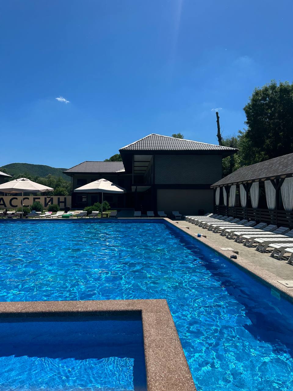 Фото Кипарис