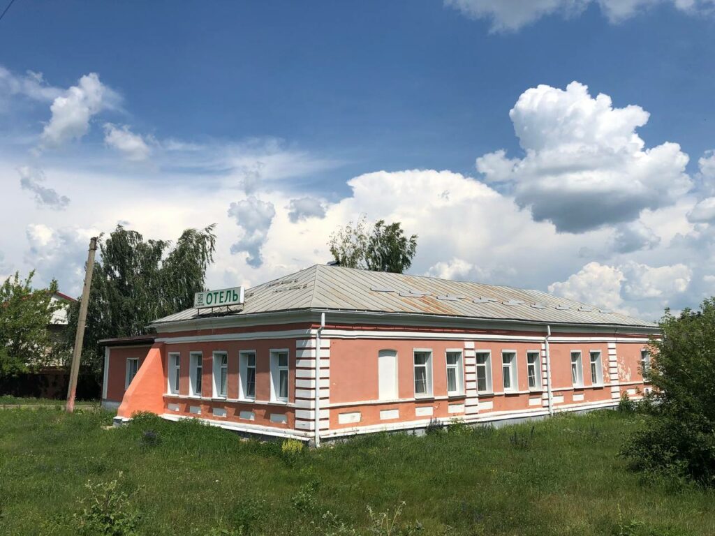 Фото Базилик