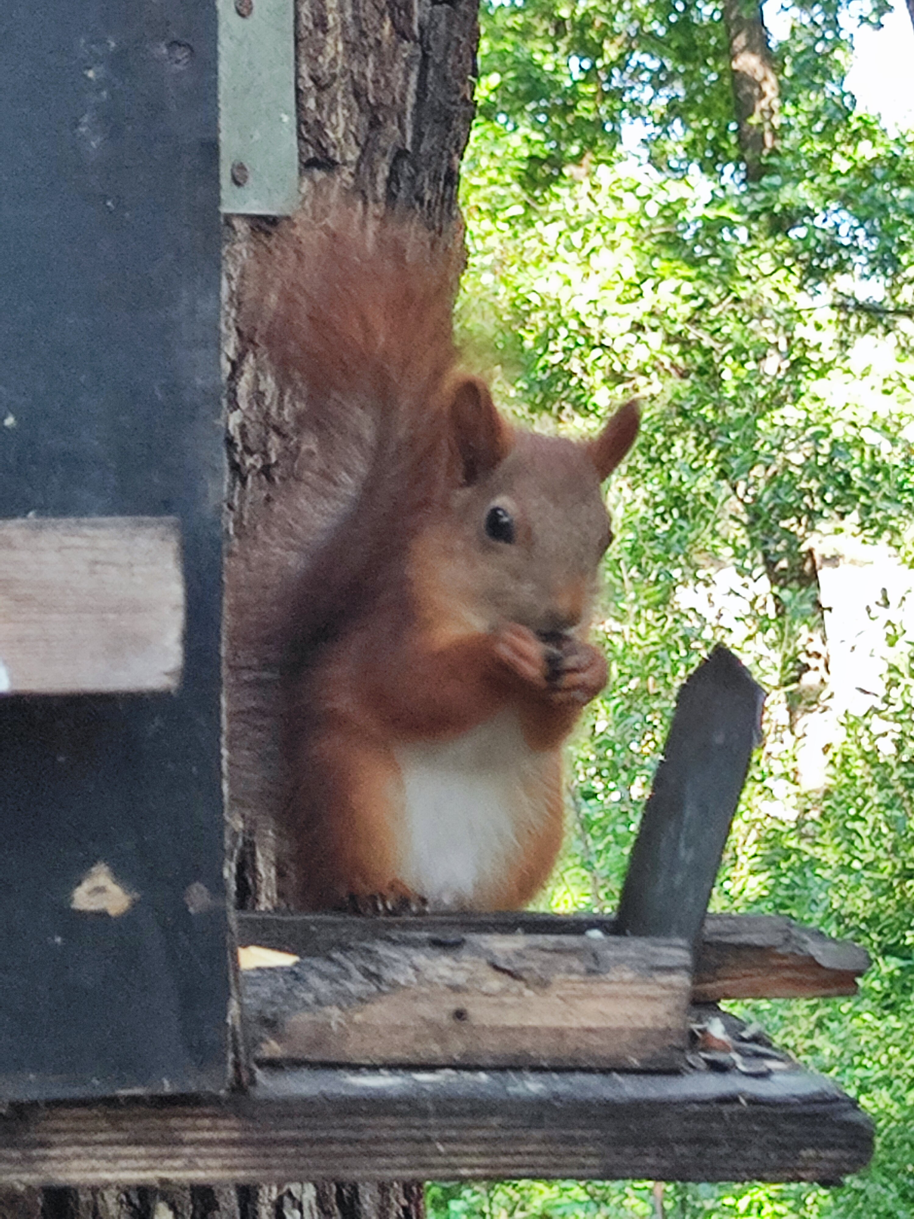 Фото Panorama Вилла