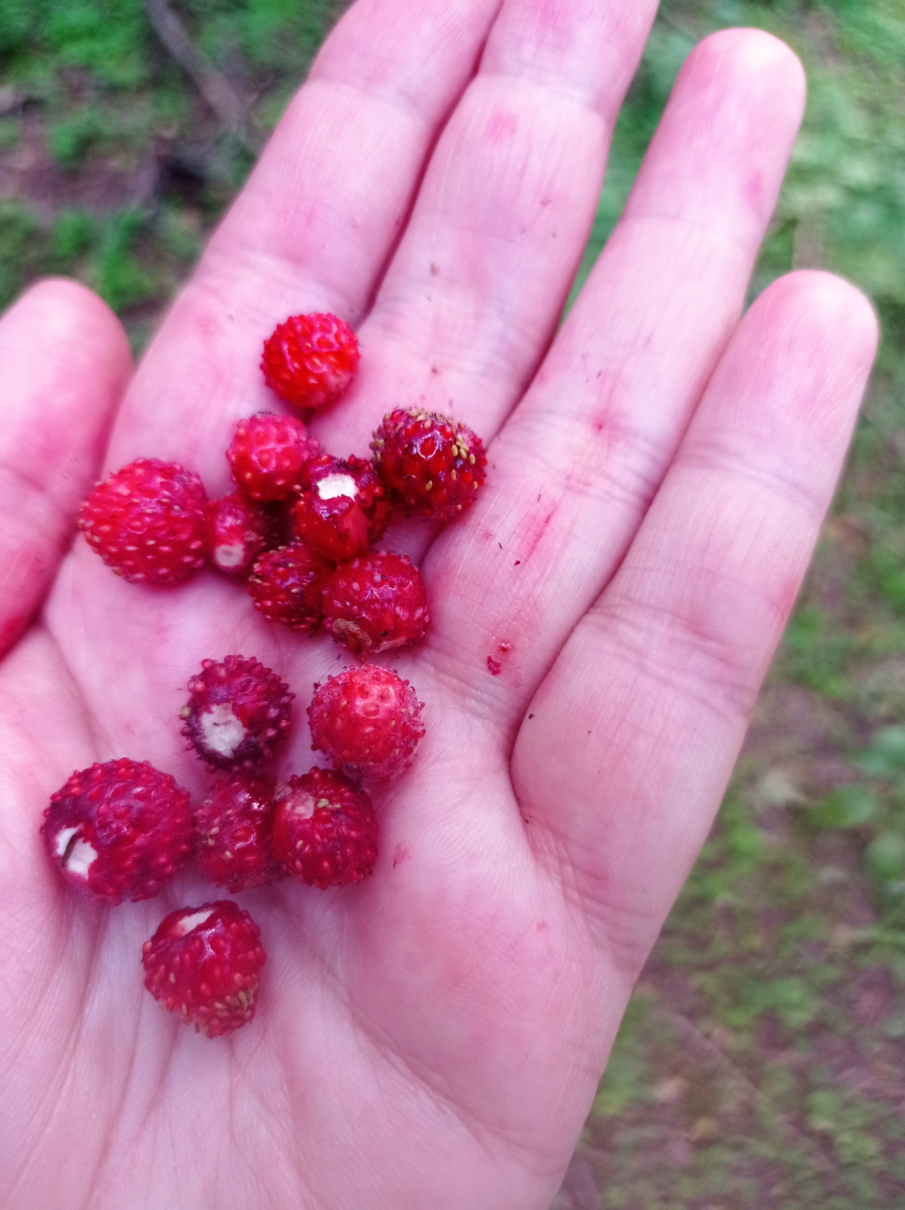 Фото Протва