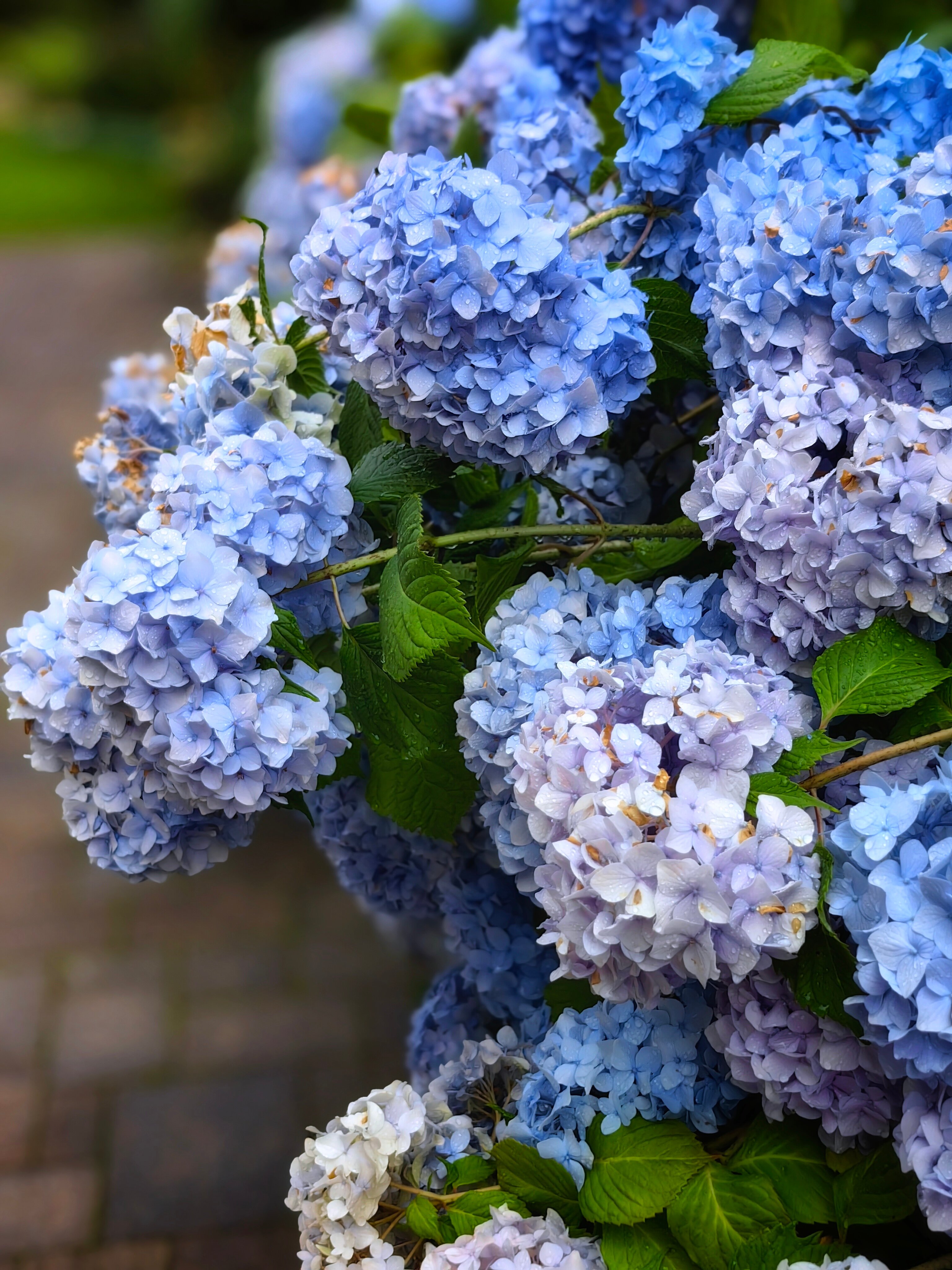 Фото Куб в Кубе