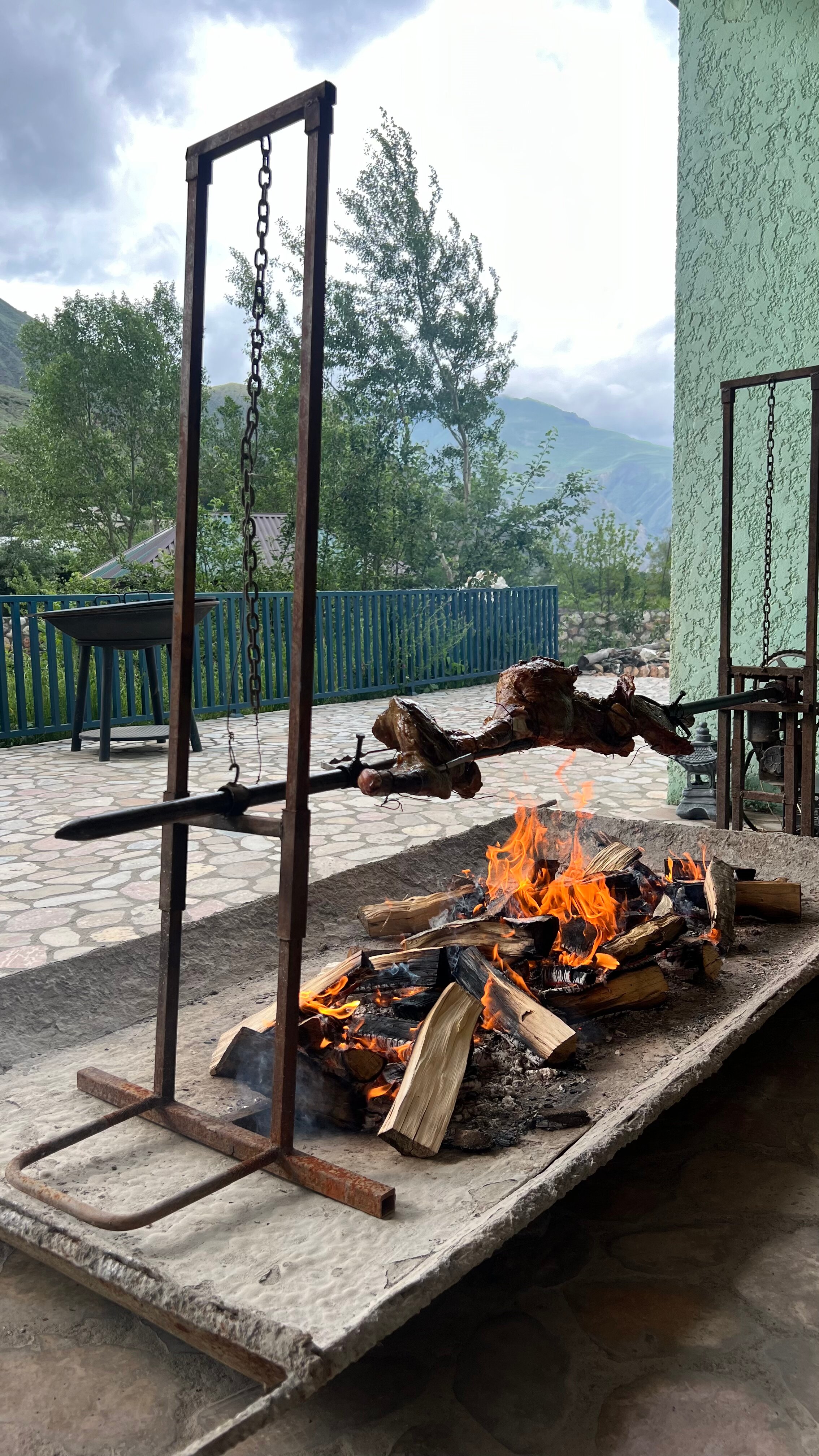 Фото Гнездо солнца