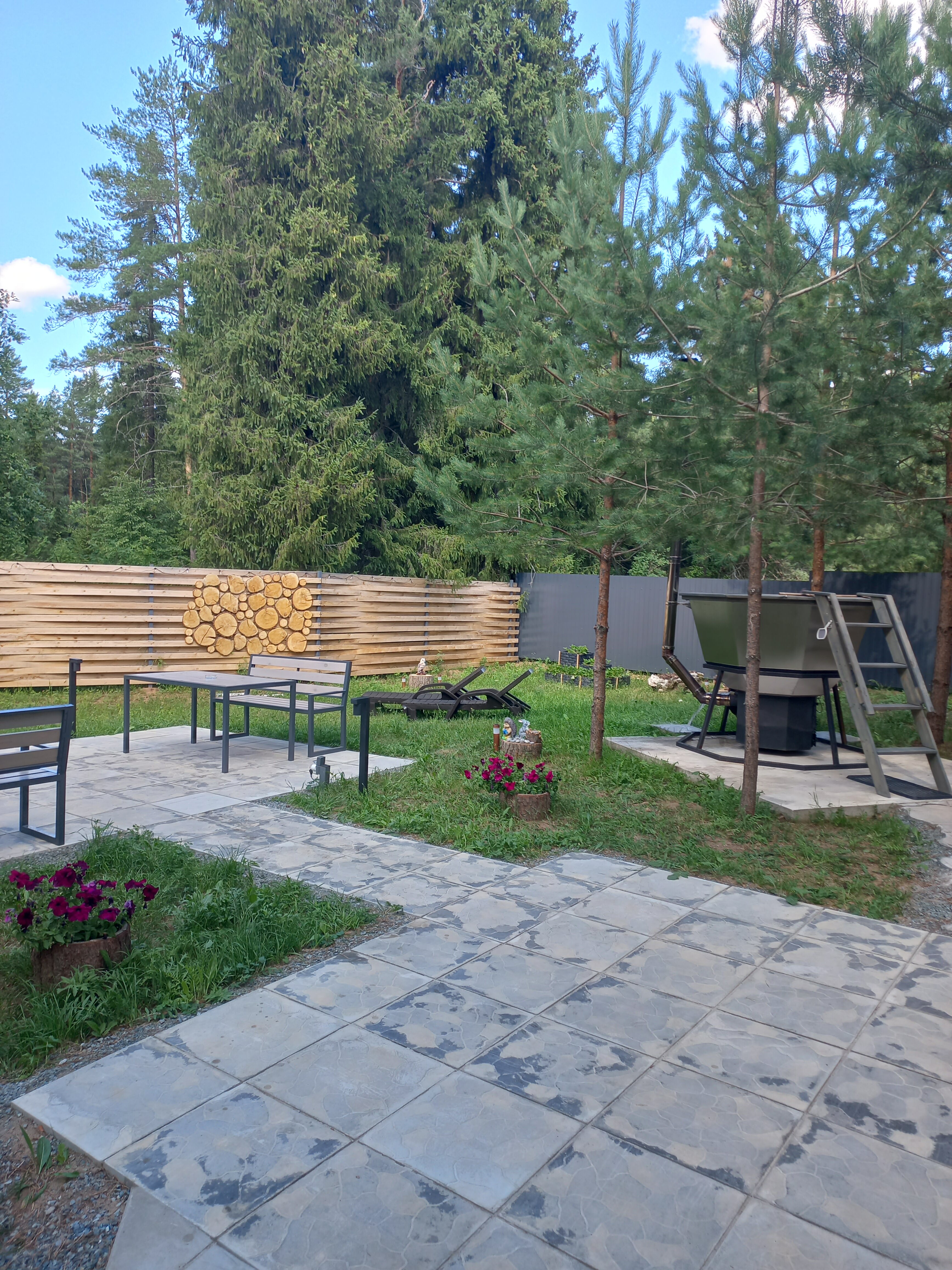 Фото Лесная поляна