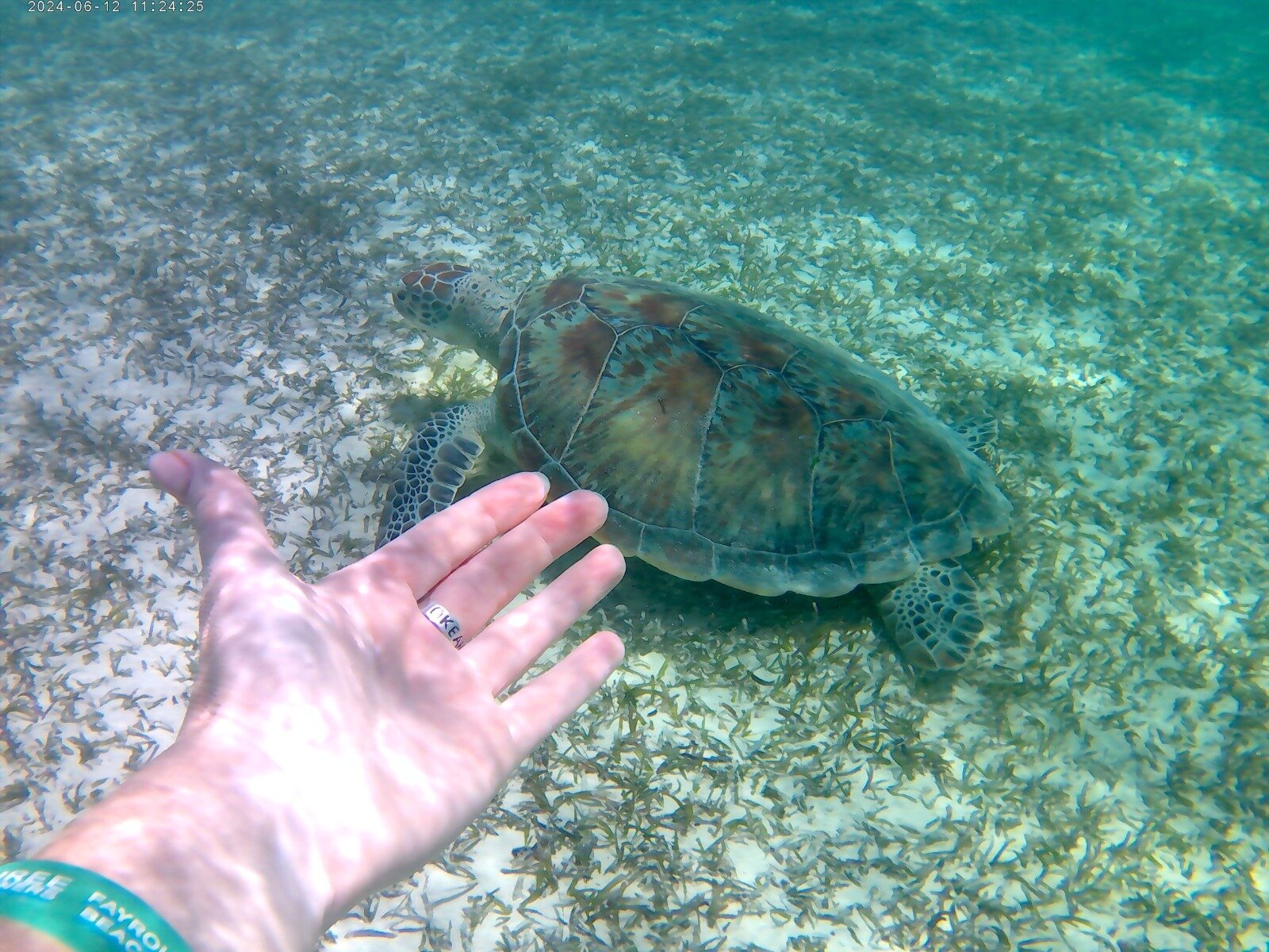 Фото The Three Corners Fayrouz Plaza Beach Resort