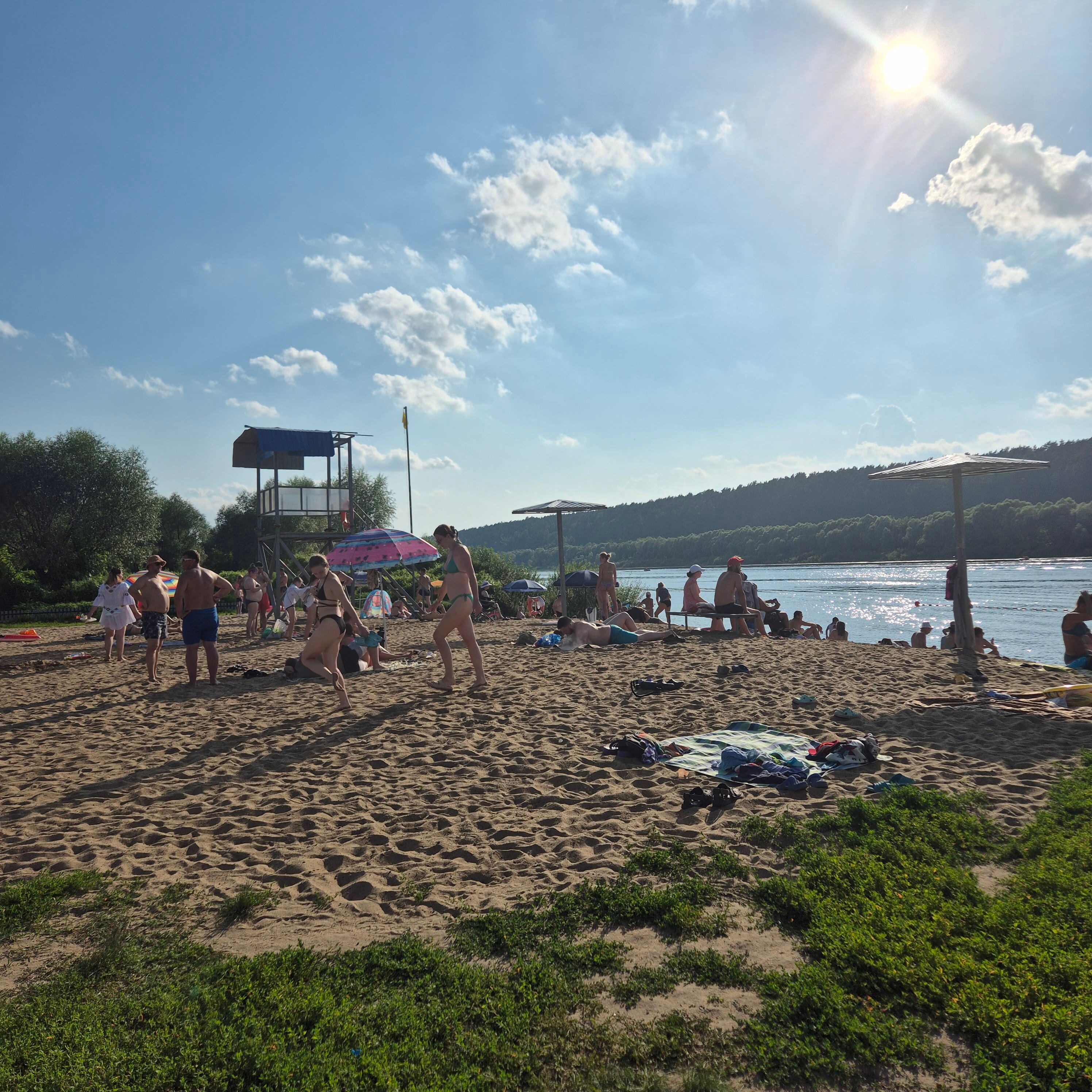 Фото Подберёзовик