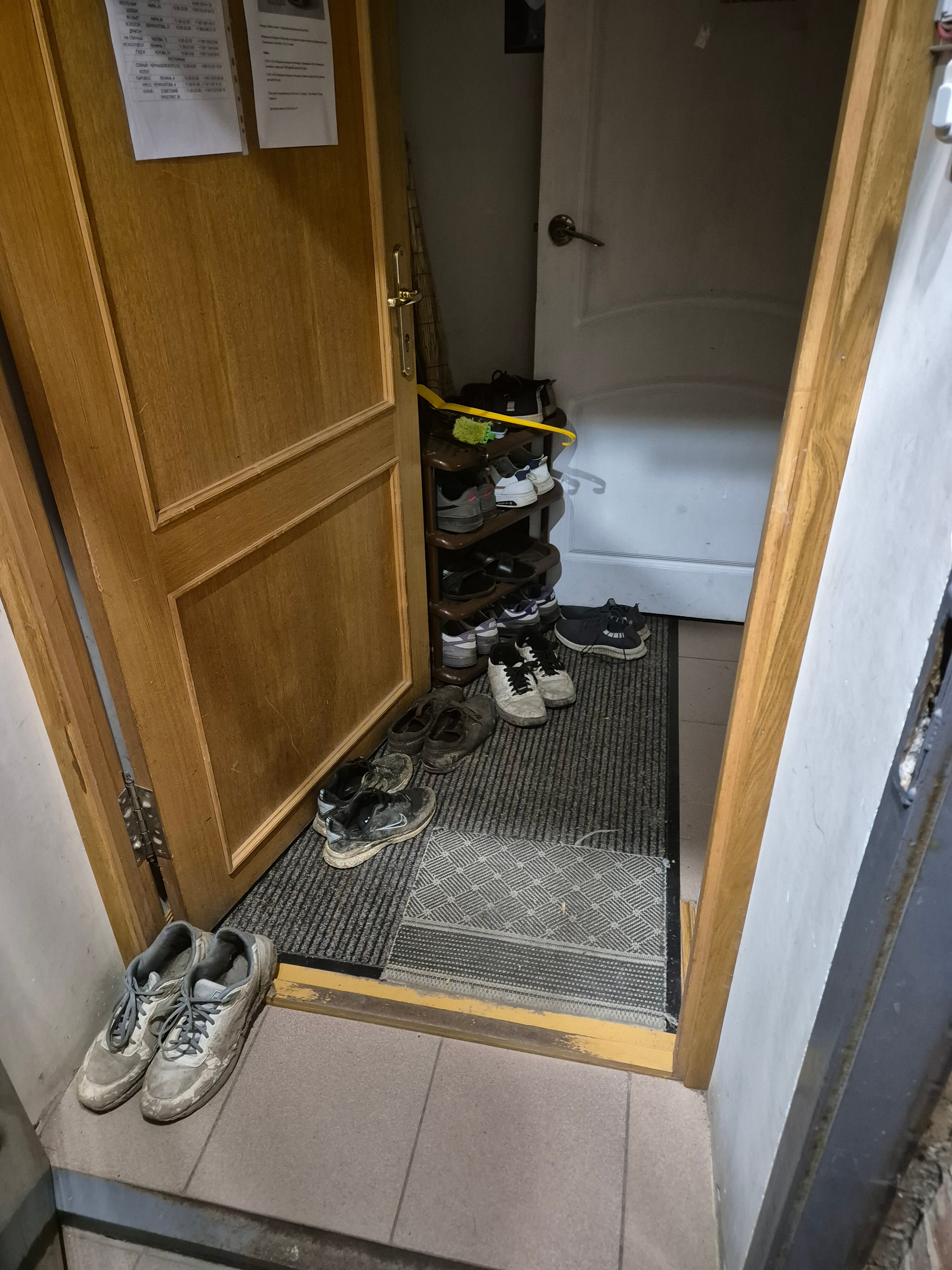 Фото Сканди