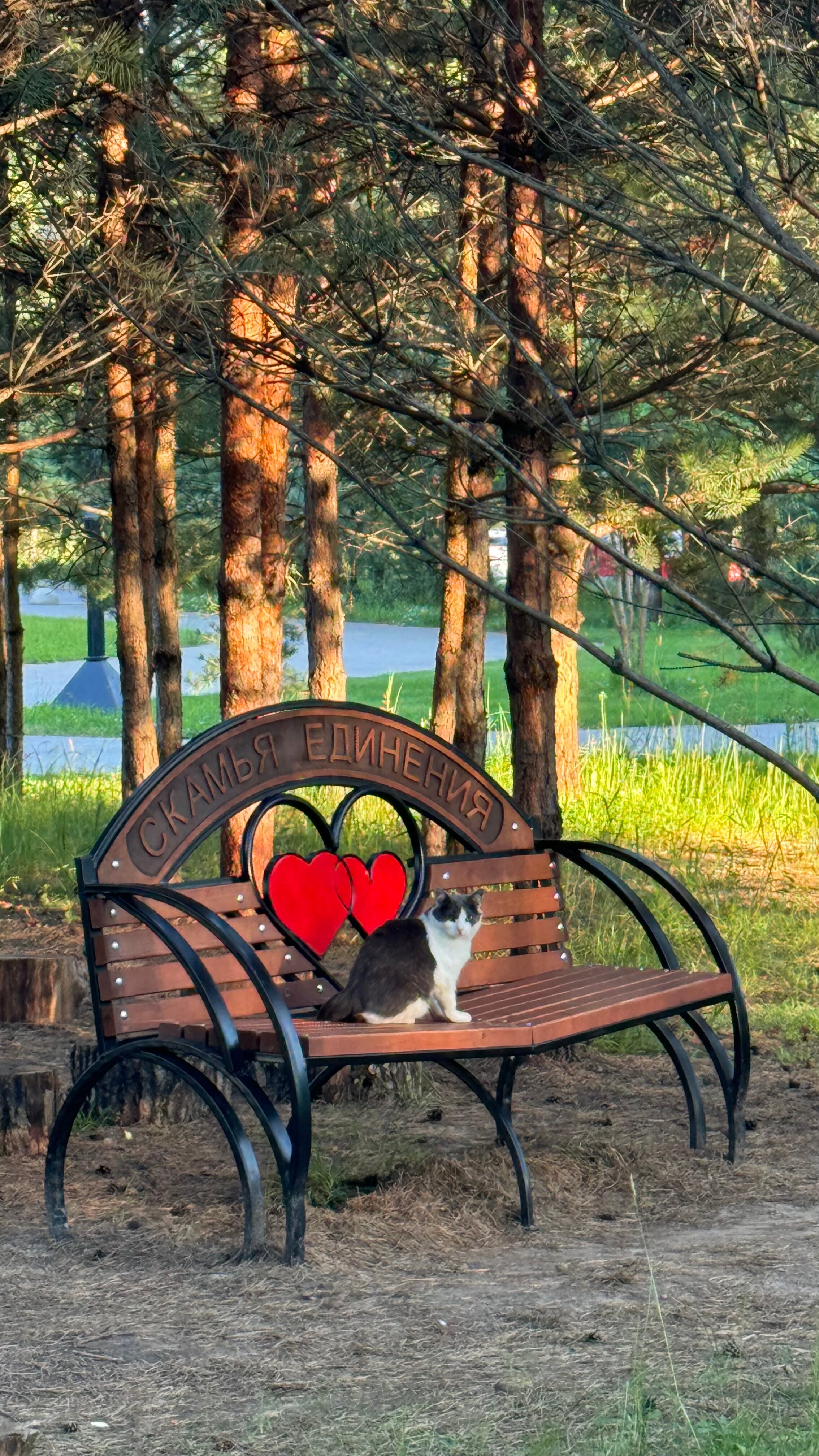 Фото Экопарк Поляны