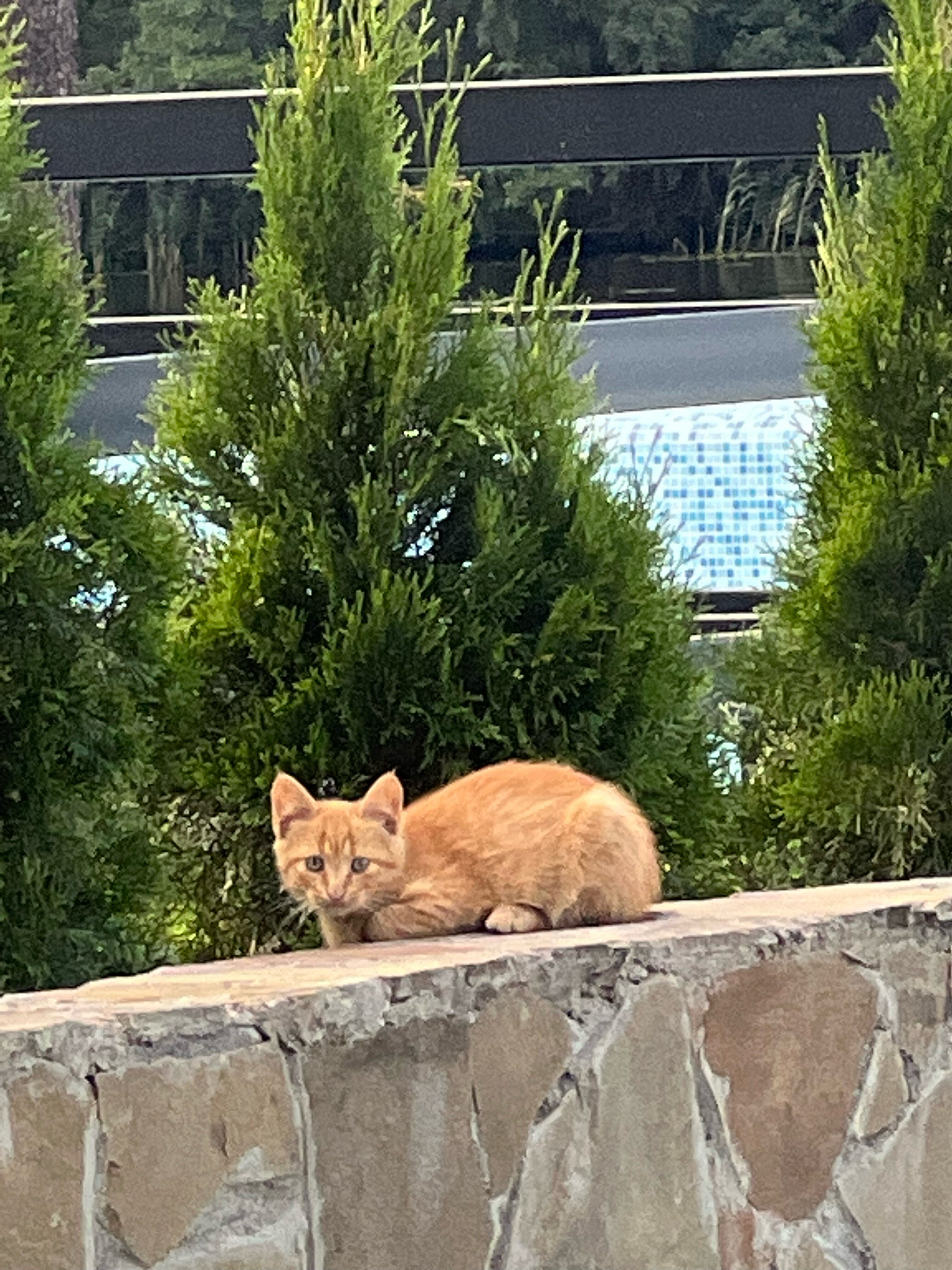 Фото Давинчи Парк