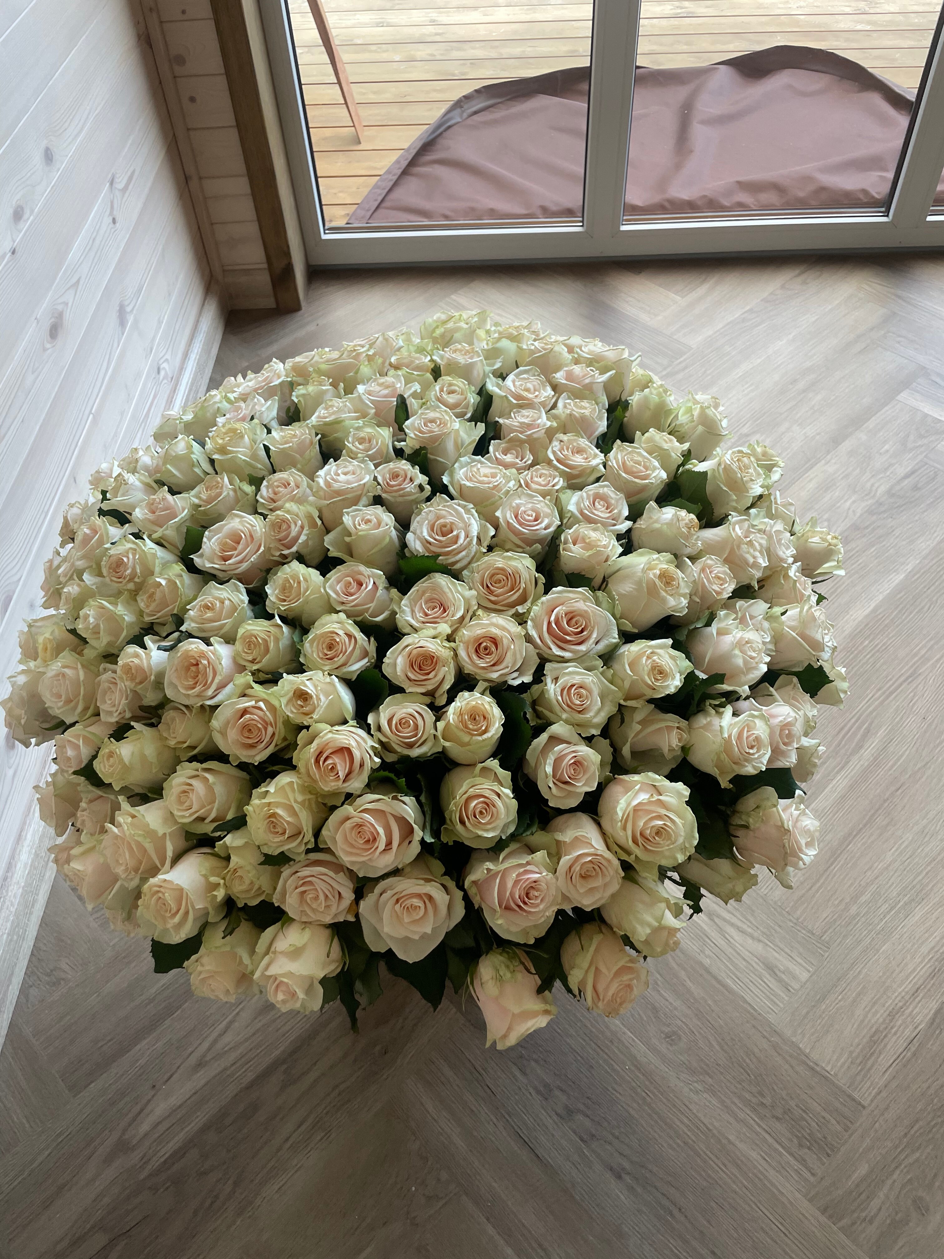 Фото Лео Ленд