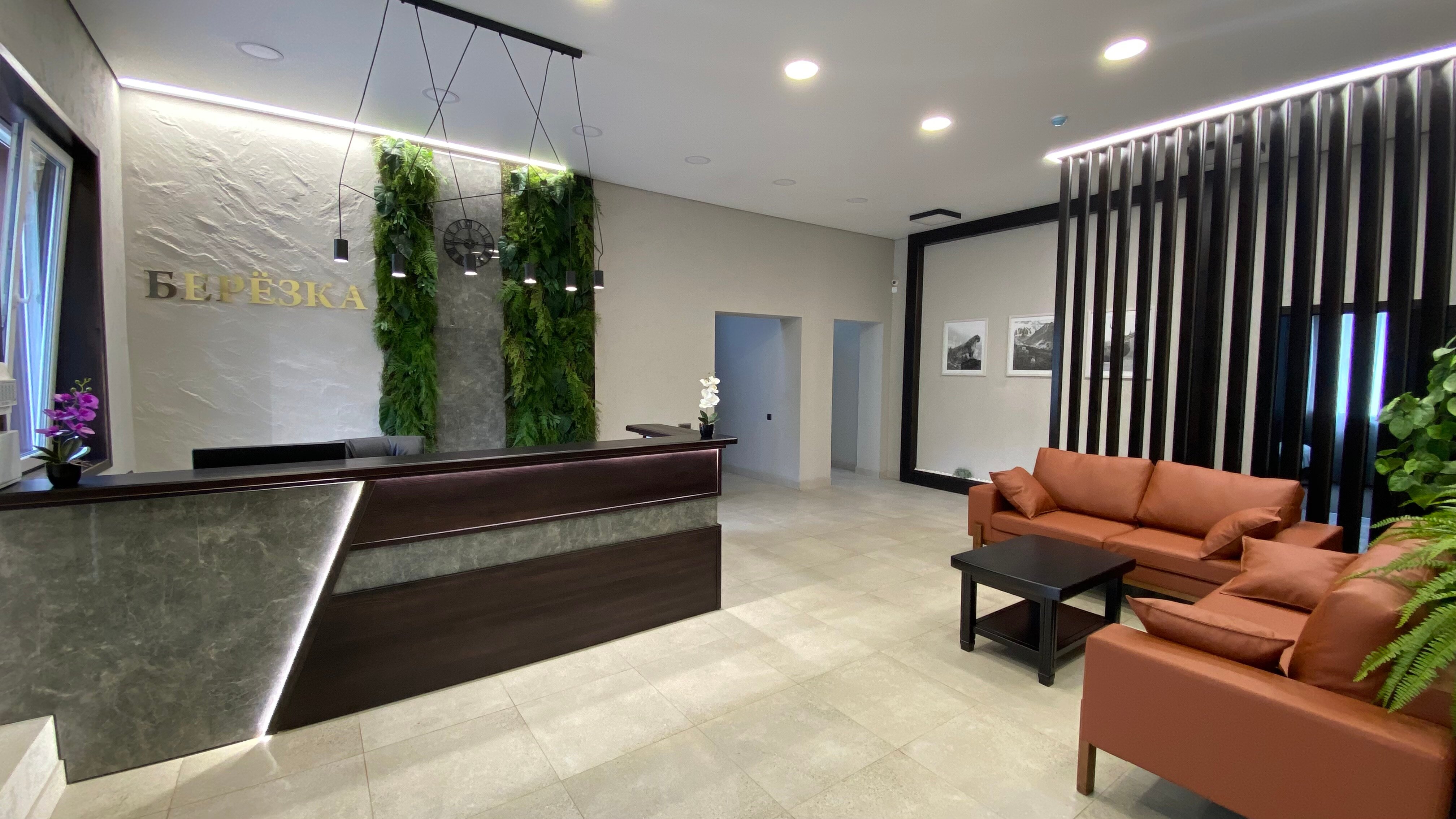 Фото Берёзка