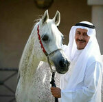 Al Hawajer Stud (32/5, Al Falah Street, Falah Agriculture, Al Bedea, Sharjah), horse riding