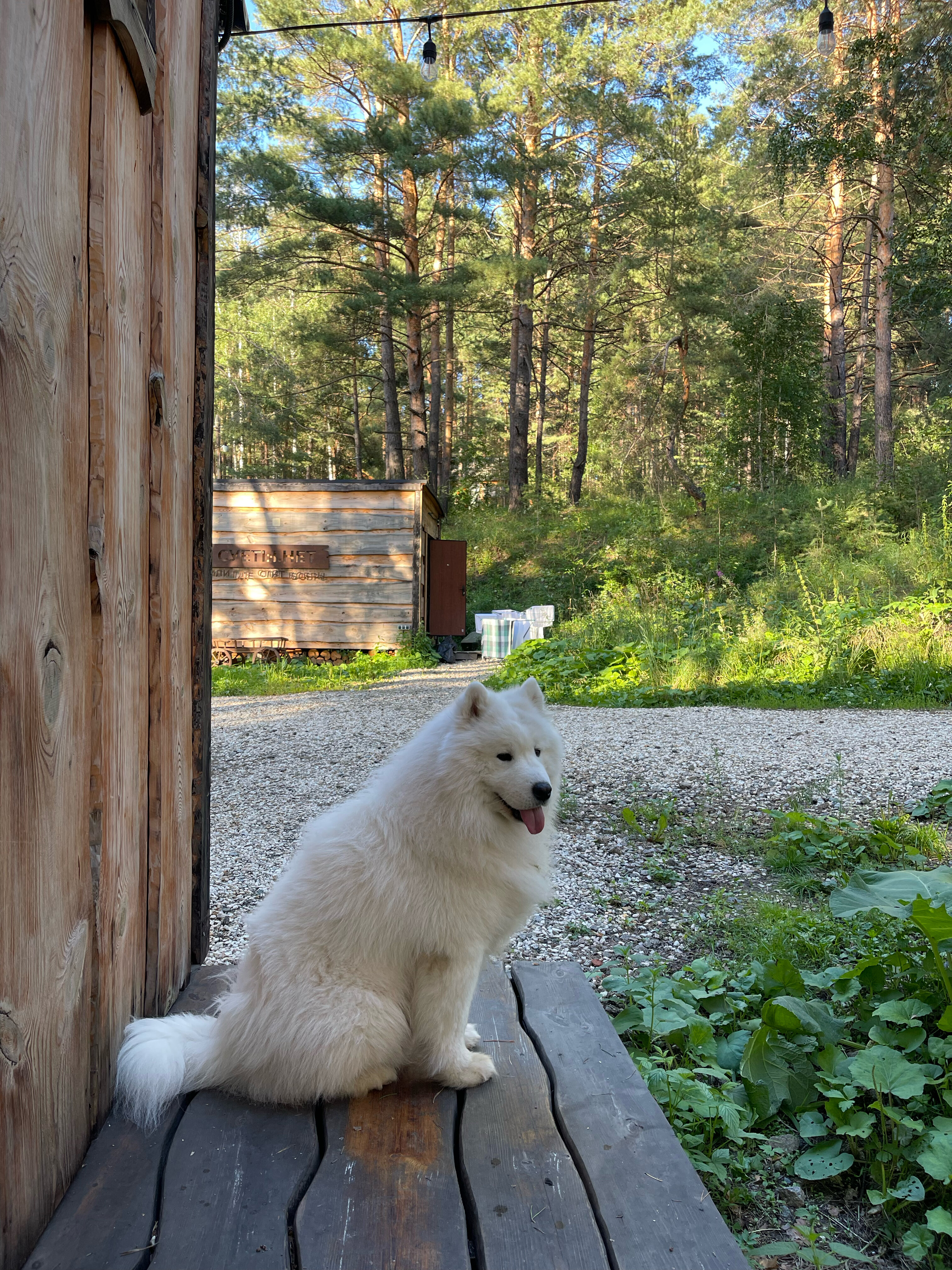 Фото Суеты. нет