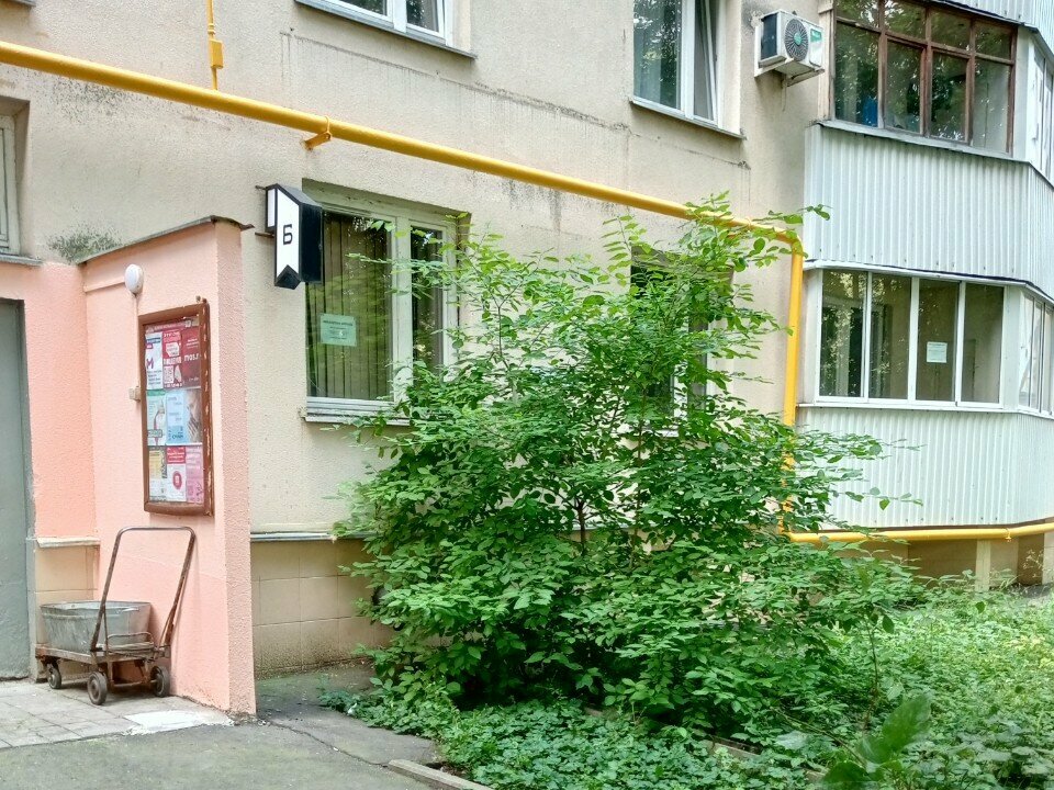 Foreign language courses Easy Way English, Moscow, photo