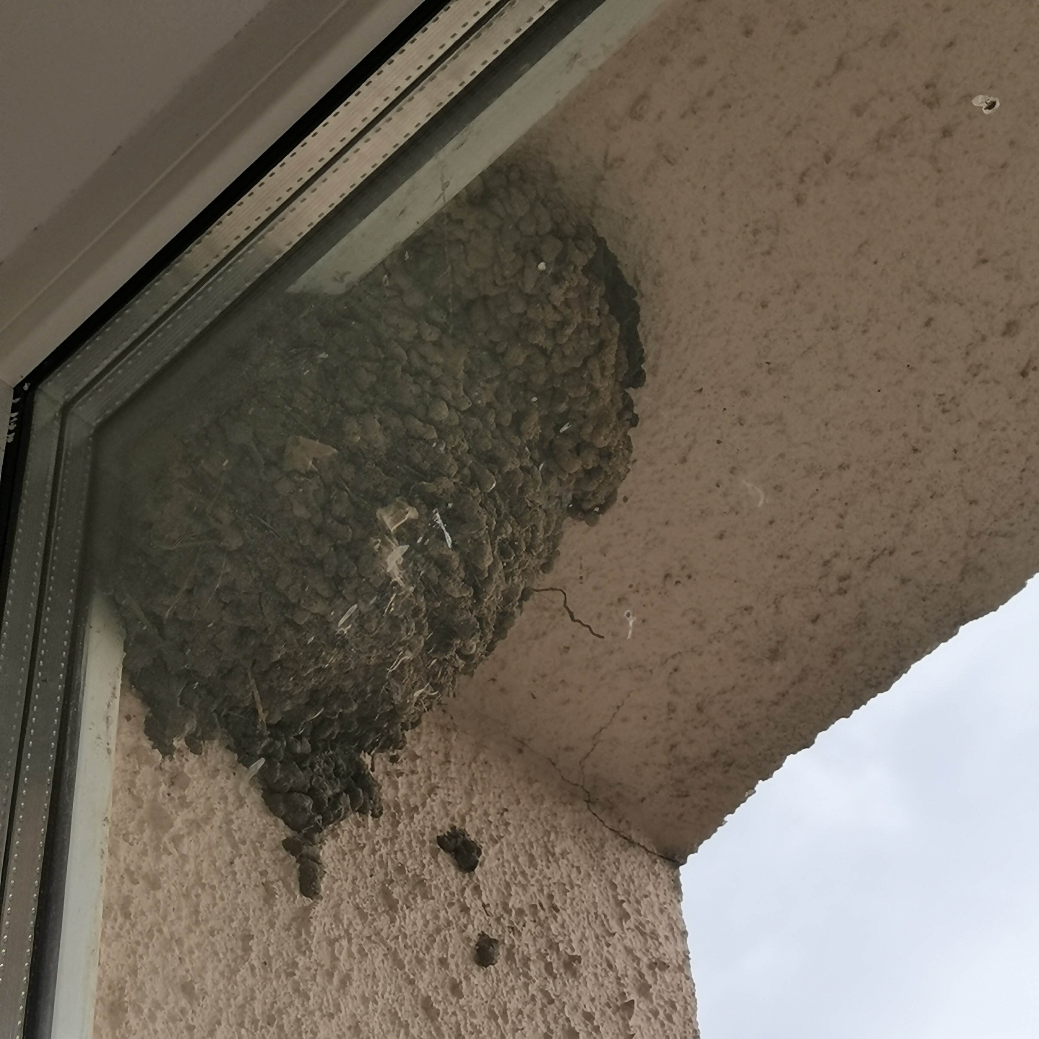 Фото Славянская традиция