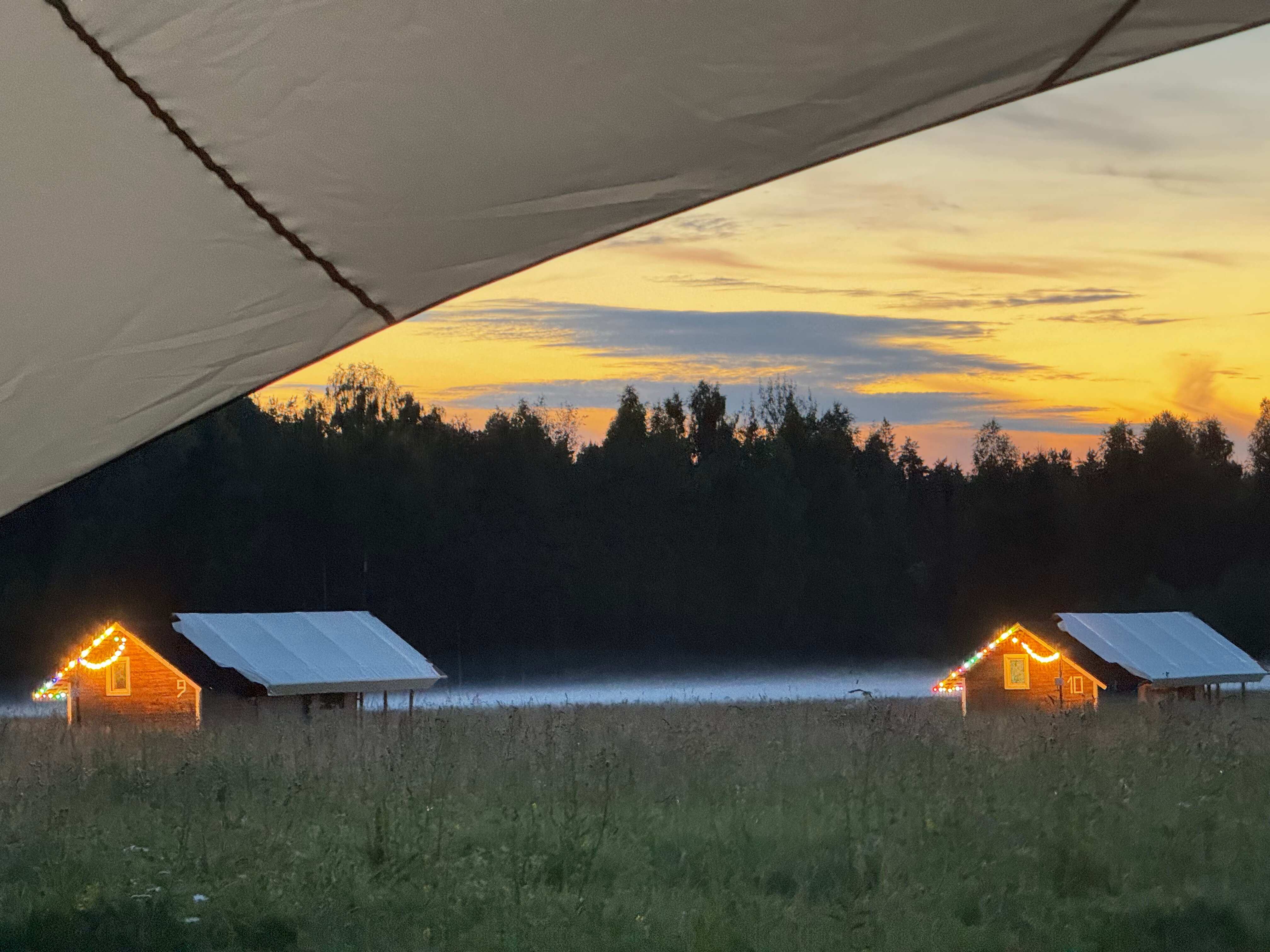 Фото Рекалеса