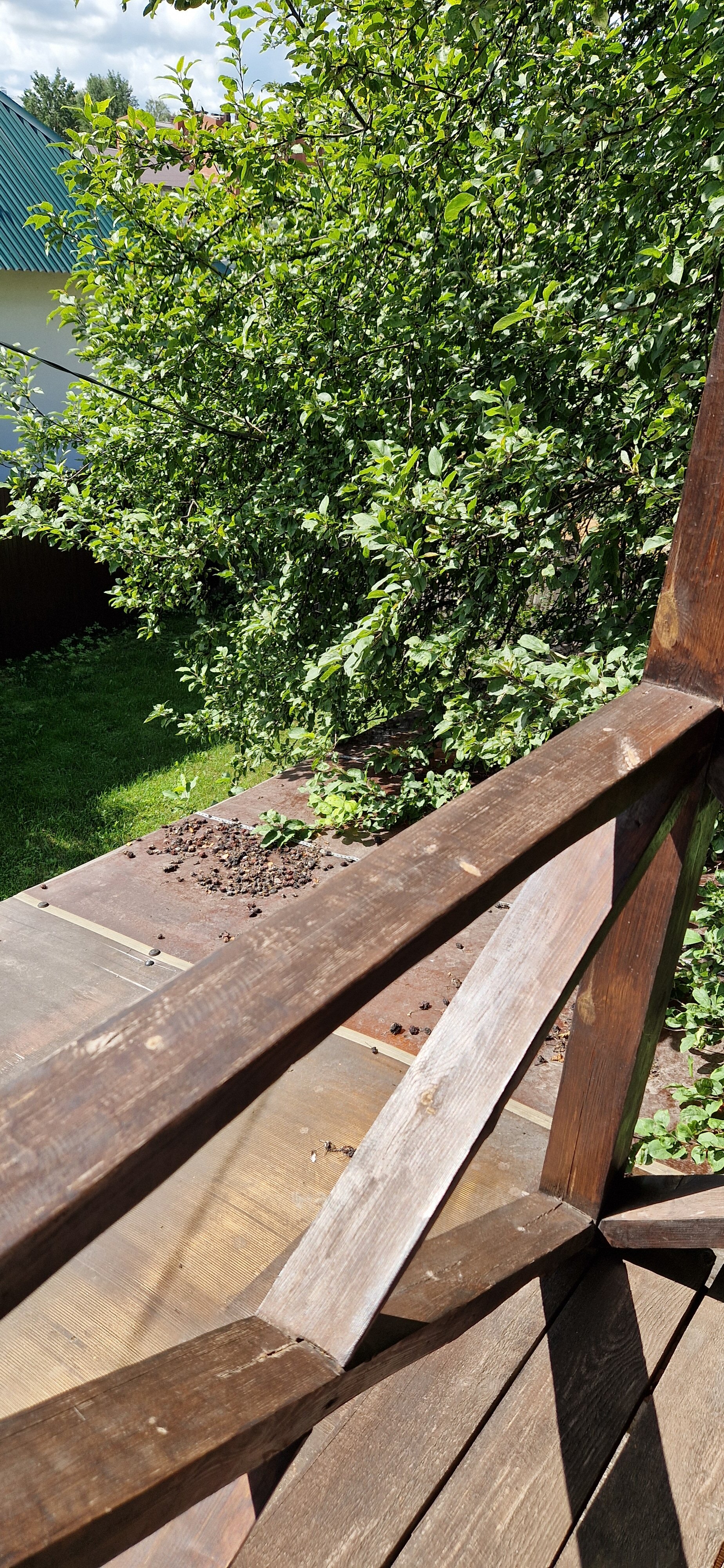 Фото АлтынЪ