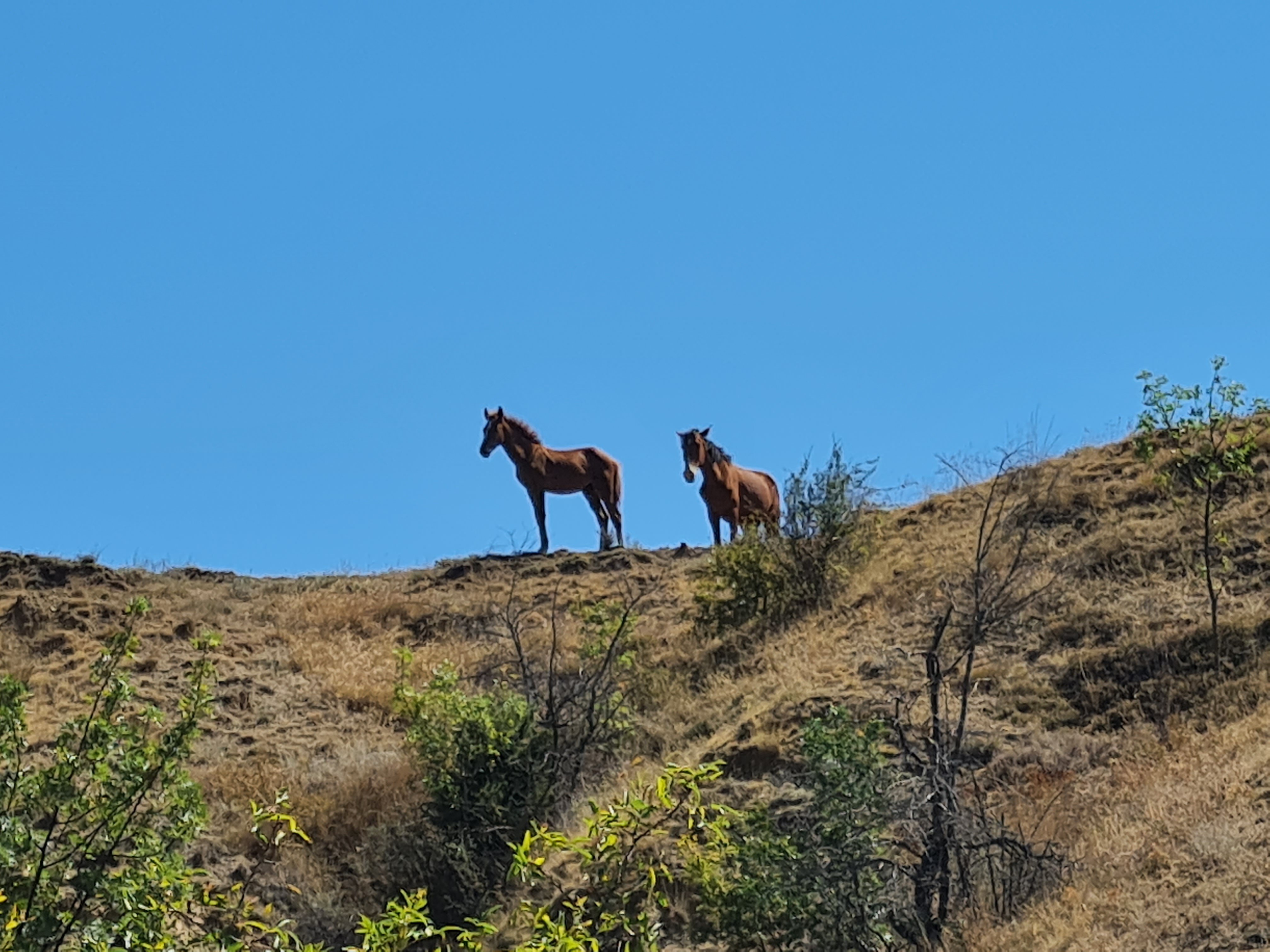Фото Олимпия
