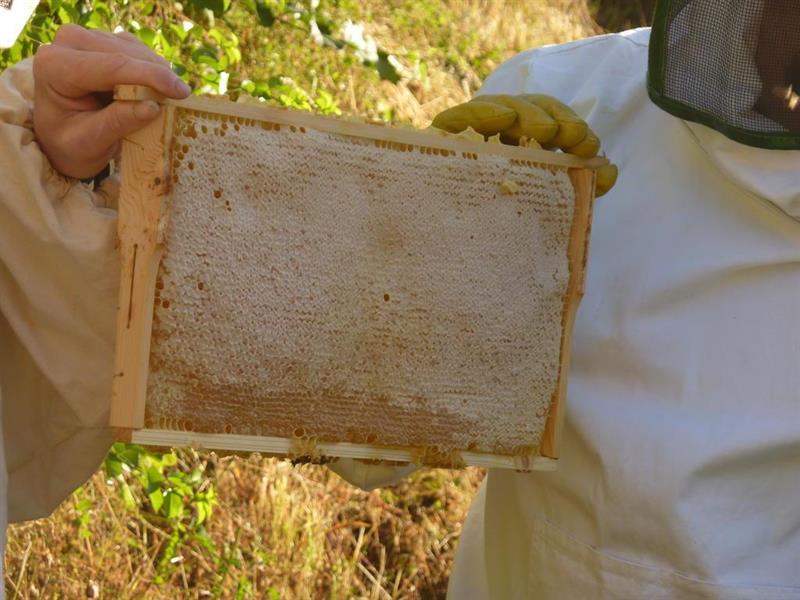 Фото Hotel Stilfserhof