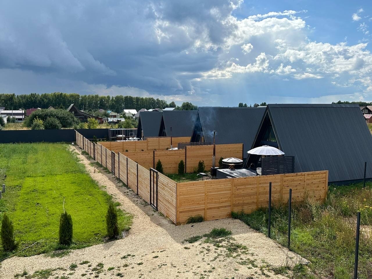 Фото Сафари