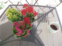 Фото Dongdaemun Hwashin Hostel