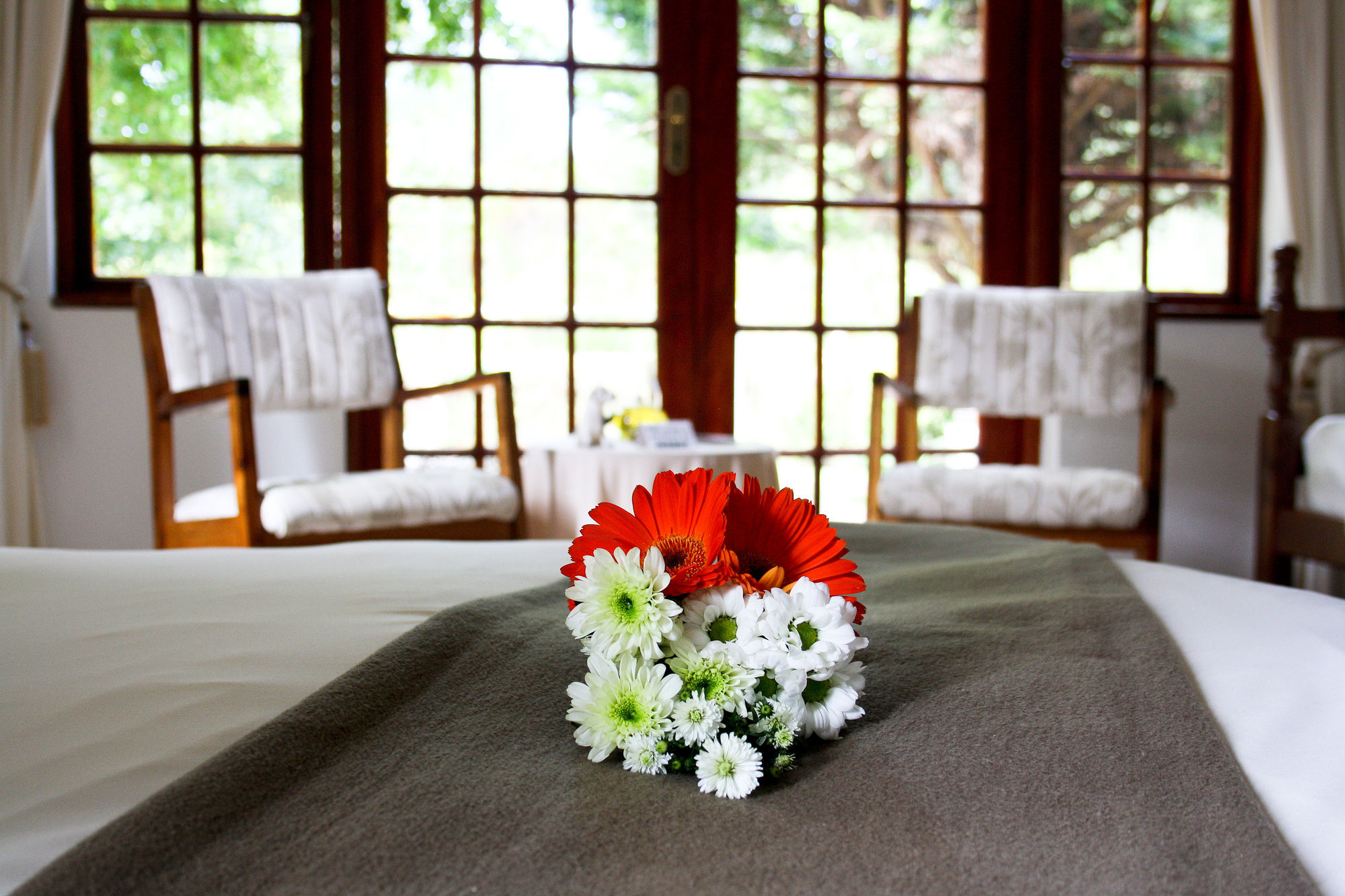 Фото Storms River Guest Lodge