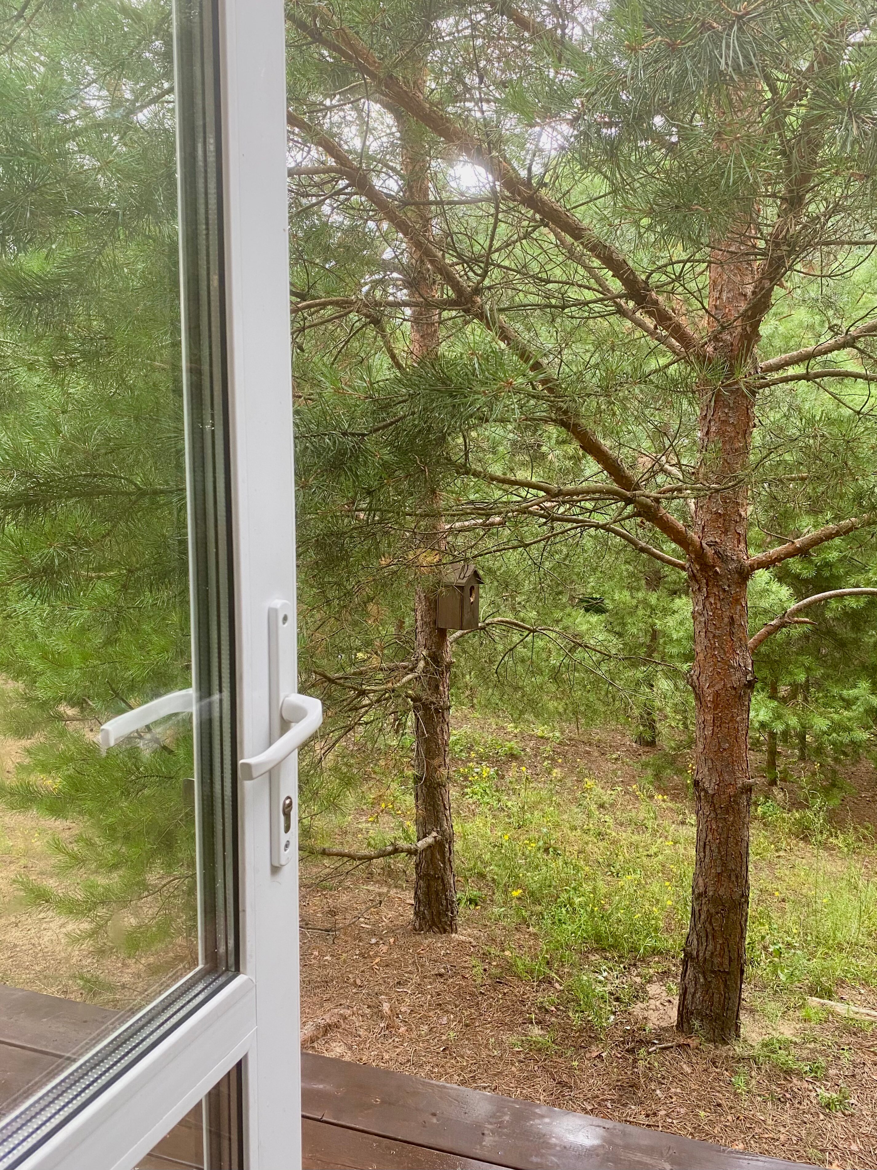 Фото Мишкино