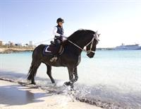 Фото Resort Costa House