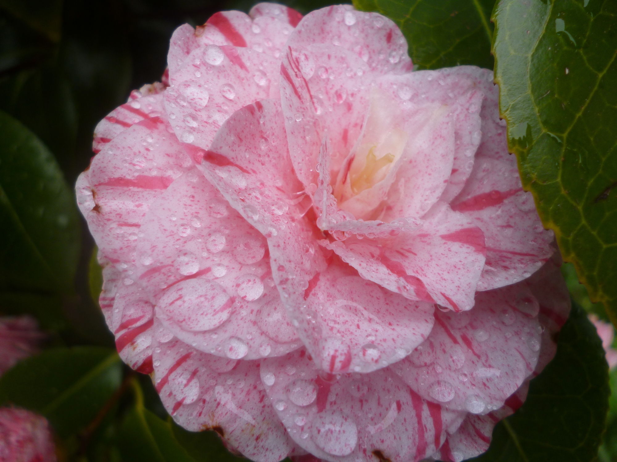 Фото Score Valley Country House