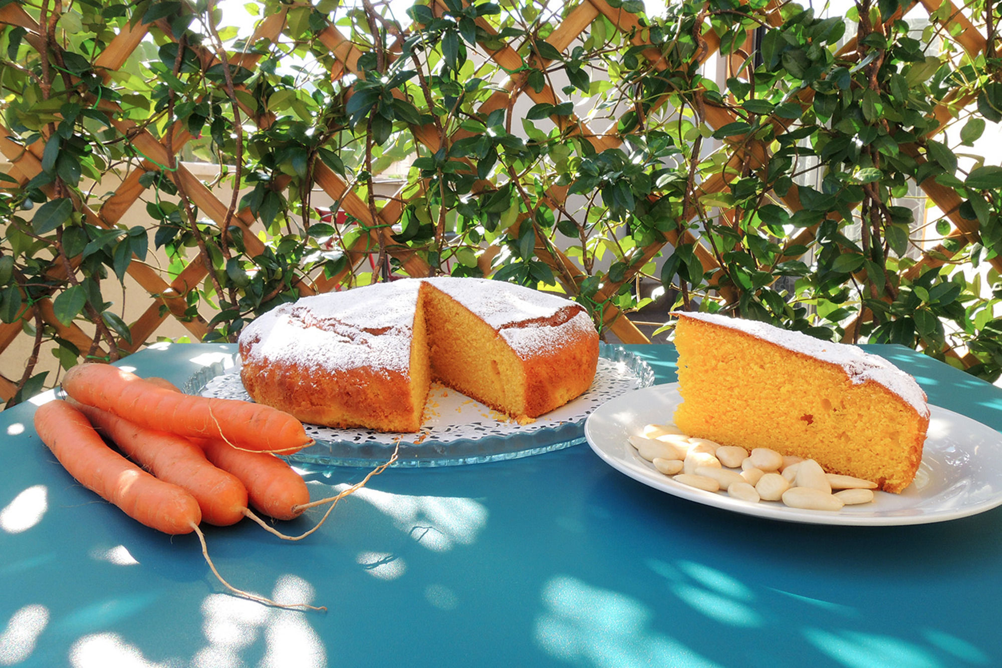 Фото TerraSole Bakery B&b