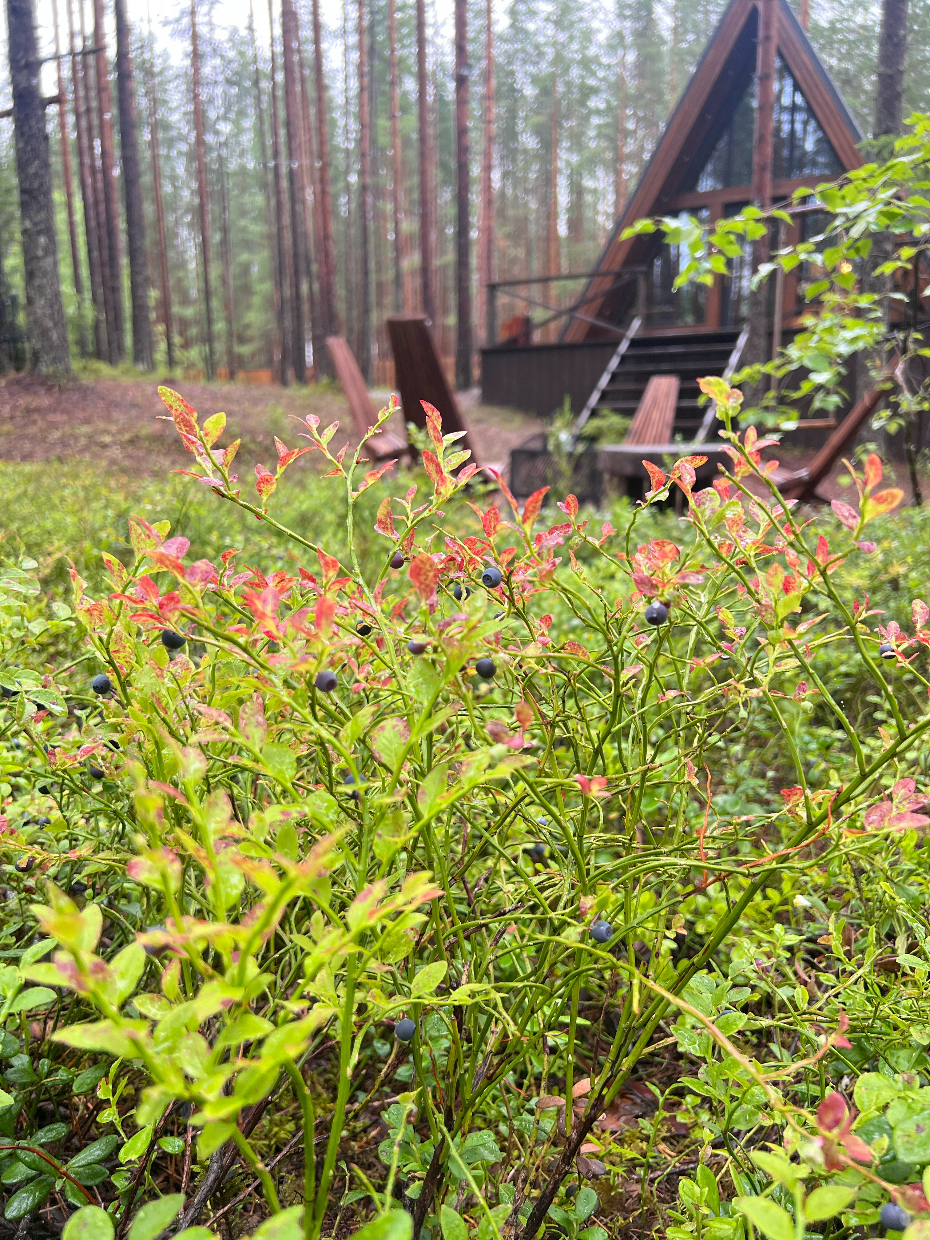 Фото Loft Home Карелия