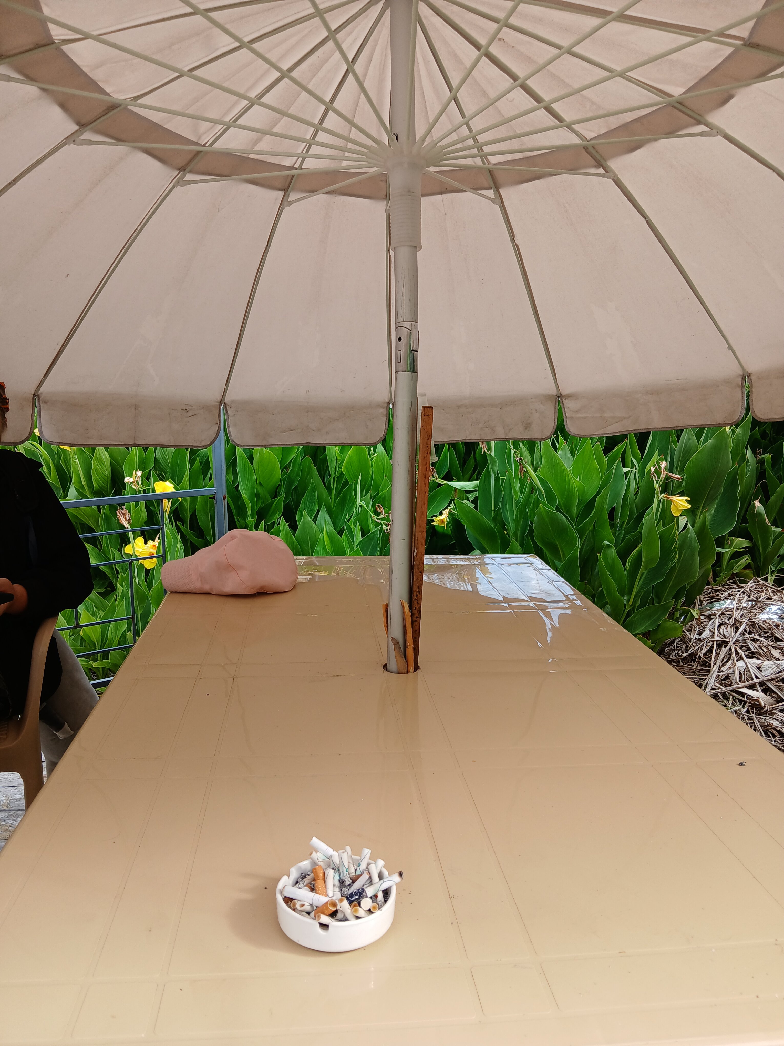 Фото Эллаиса