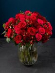 Perpa Flower House (Istanbul, Sisli, Halil Rifat Pasa Neighborhood, Floating Dock Street), flower shop