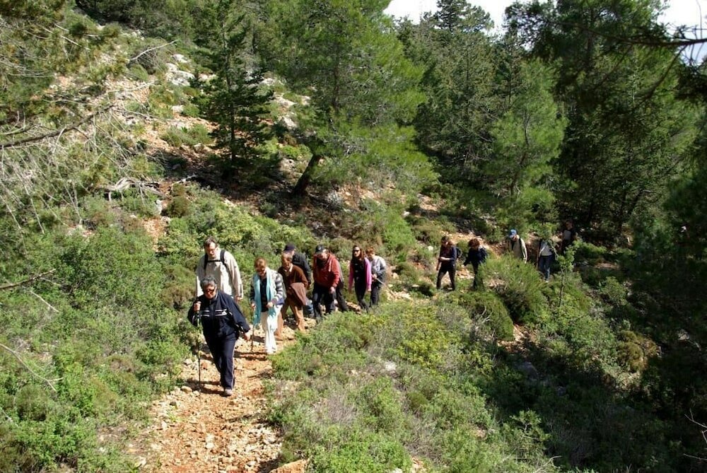 Фото Thomas Hotel