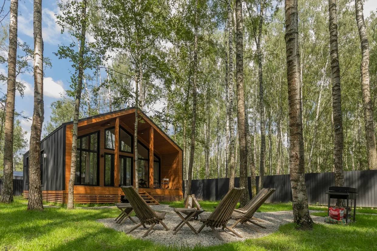 Фото У Березы