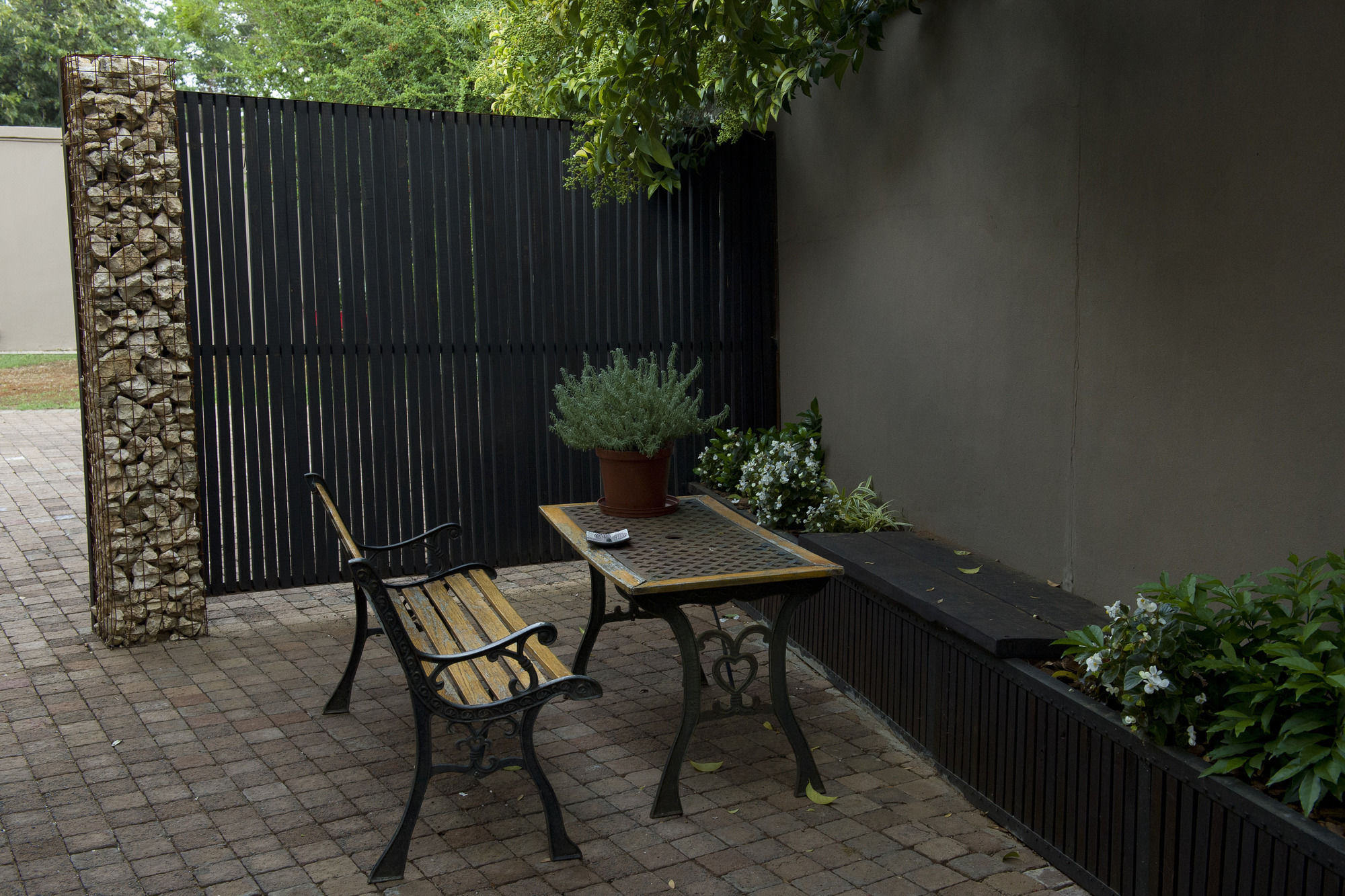 Фото Cottonwood Guesthouse