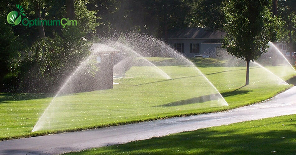 Landscape design Optimum Peyzaj, Urla, photo